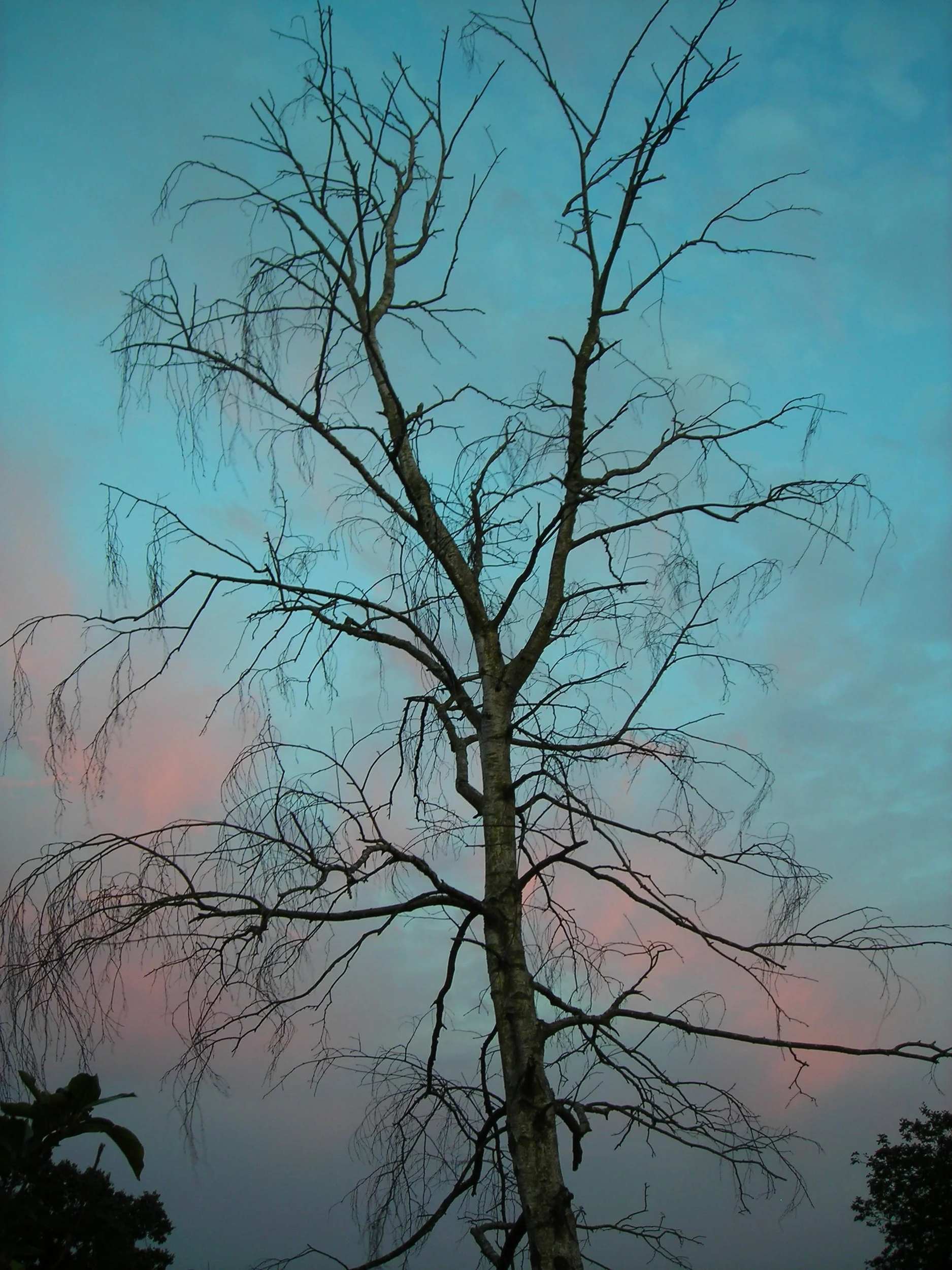 DSCN4637.png