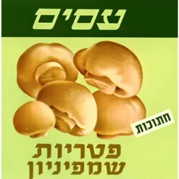 טיול פטריות ברוק קריק | Mushroom Walk in Rock Creek