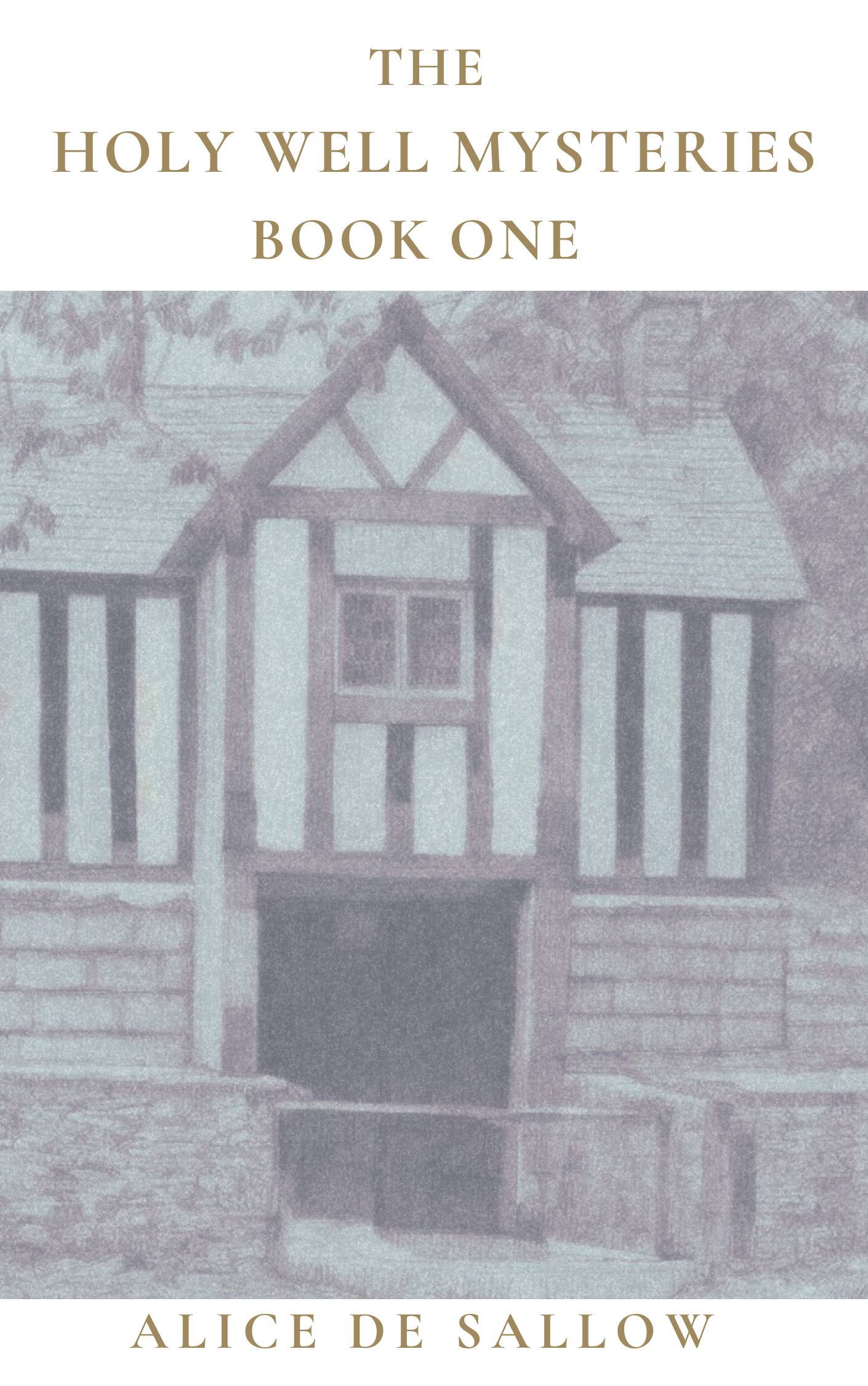 Pre Order The Holywell Mysteries Book One