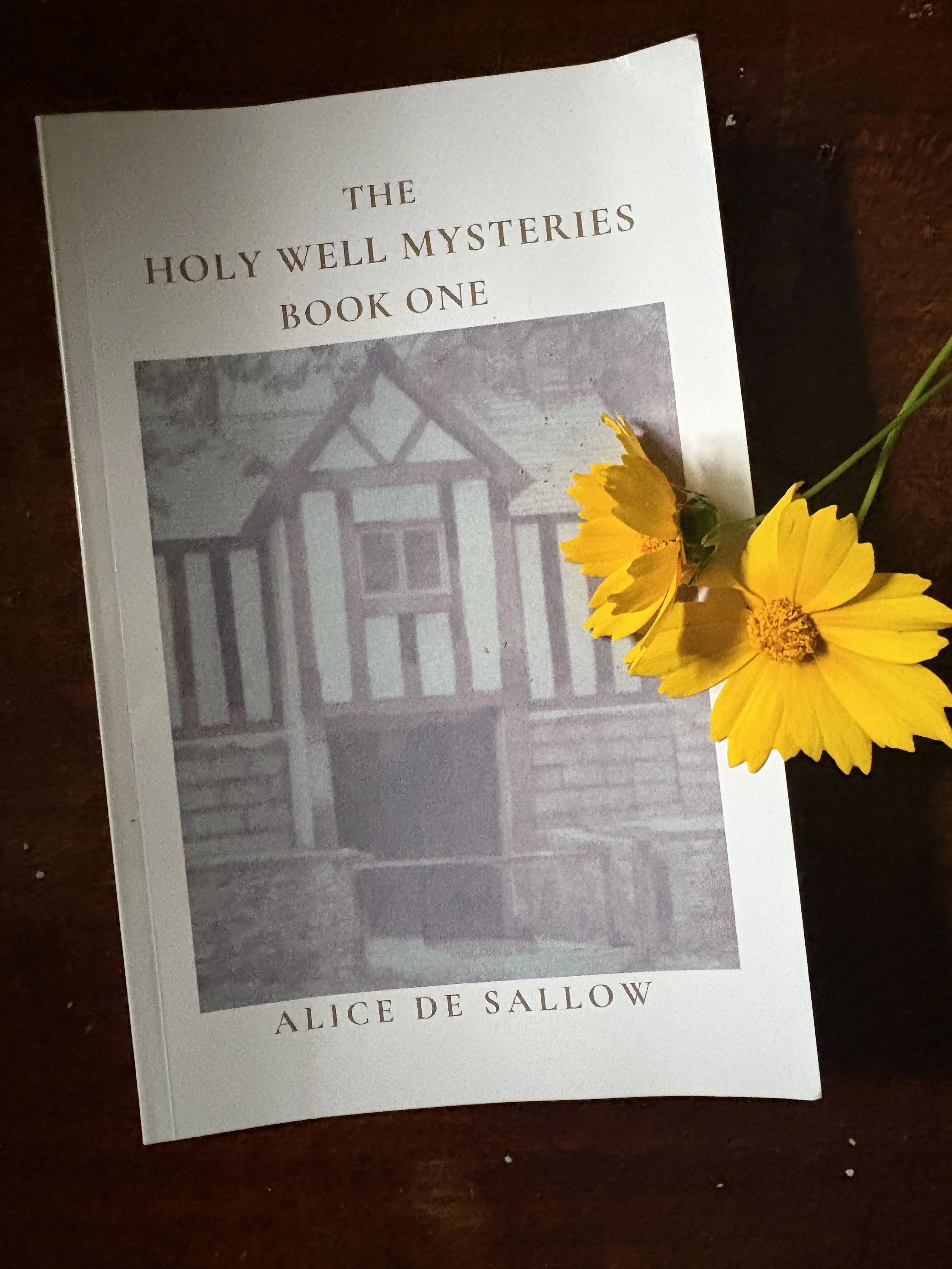 The Holy Well Mysteries Book One