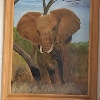 IMG_2393.jpeg