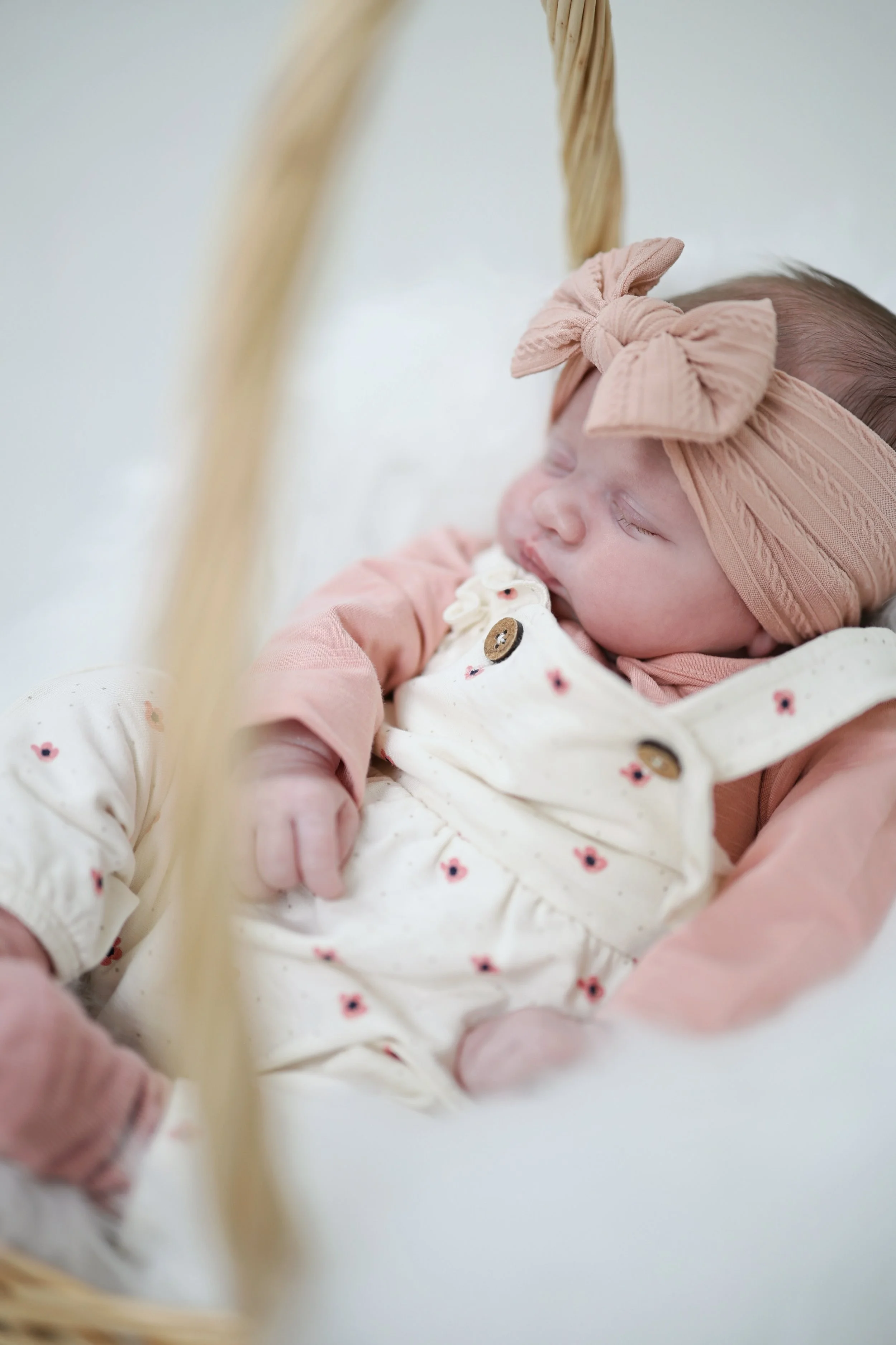 Photography Stuffer_0023.jpeg