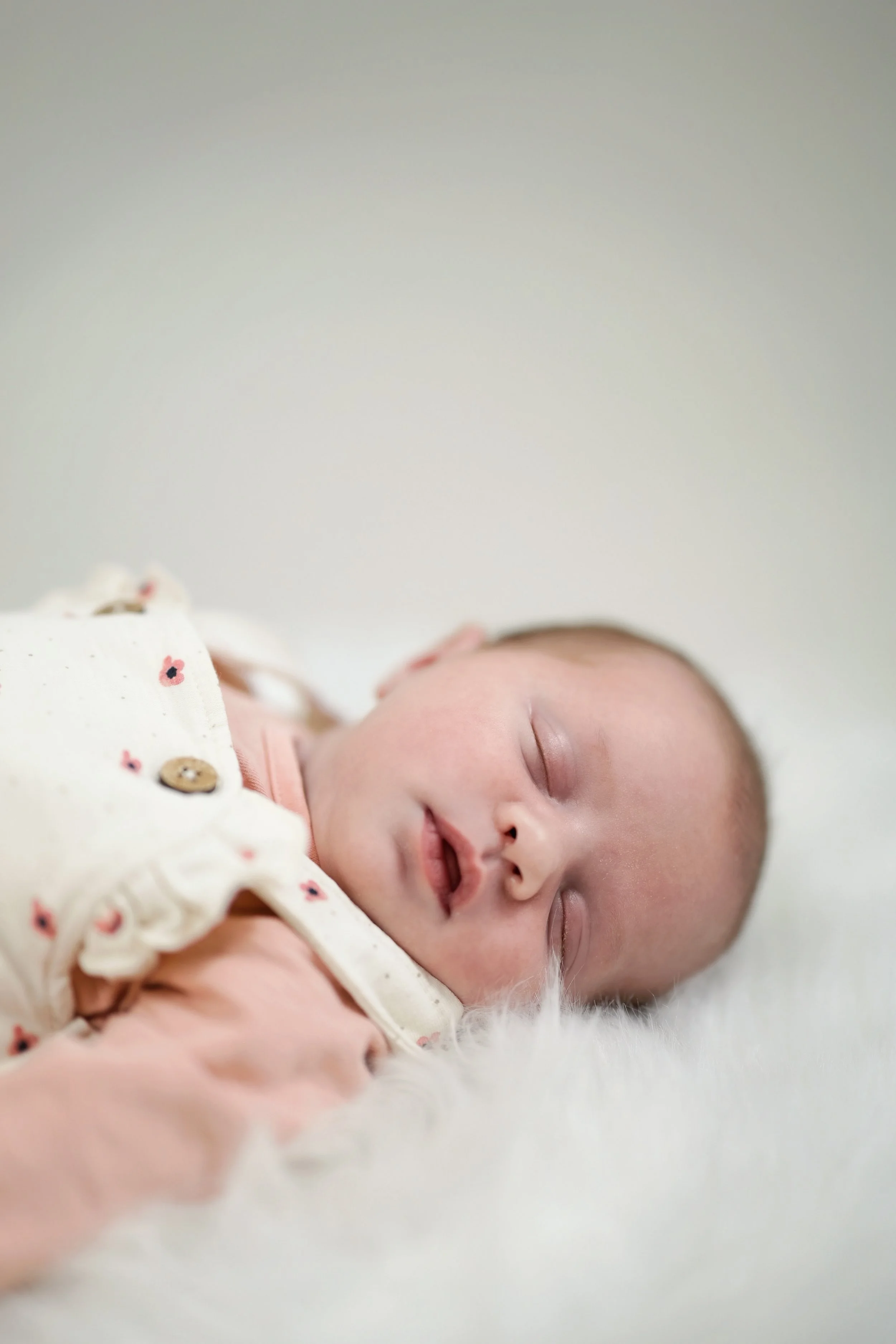 Photography Stuffer_0002.jpeg