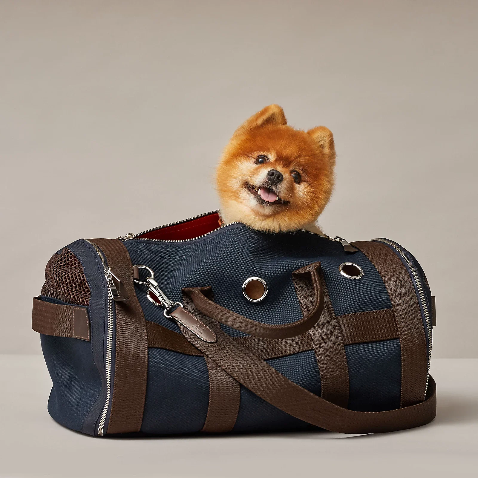 carrying-bag-for-dogs--068639CKAB-worn-1-0-0-800-800_g.jpg.webp