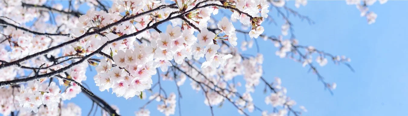 Cerchio di primavera 11/04/2026, ore 16.00, €20