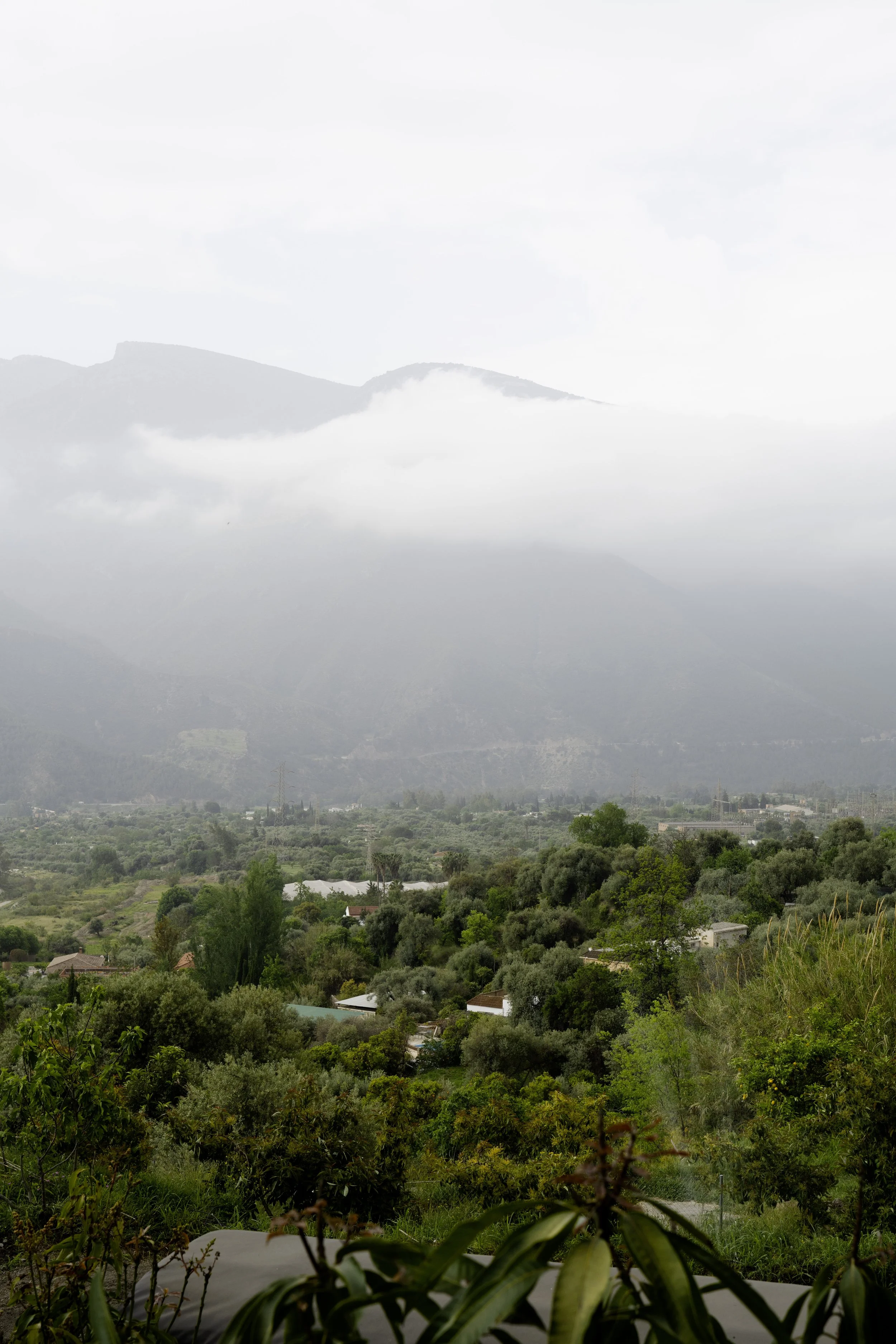 DSC_1813 másolat.jpg