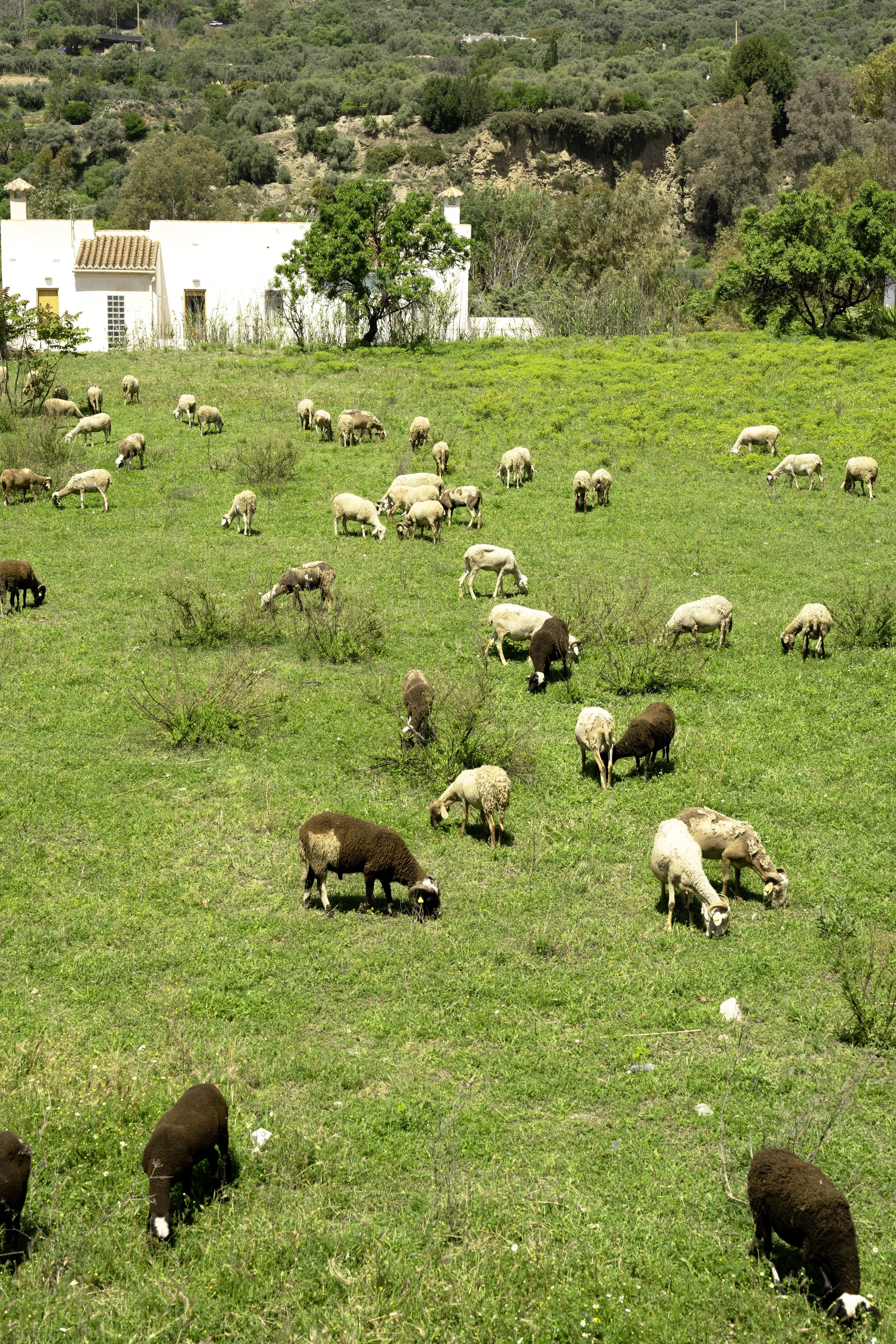 DSC_1761 másolat.jpg