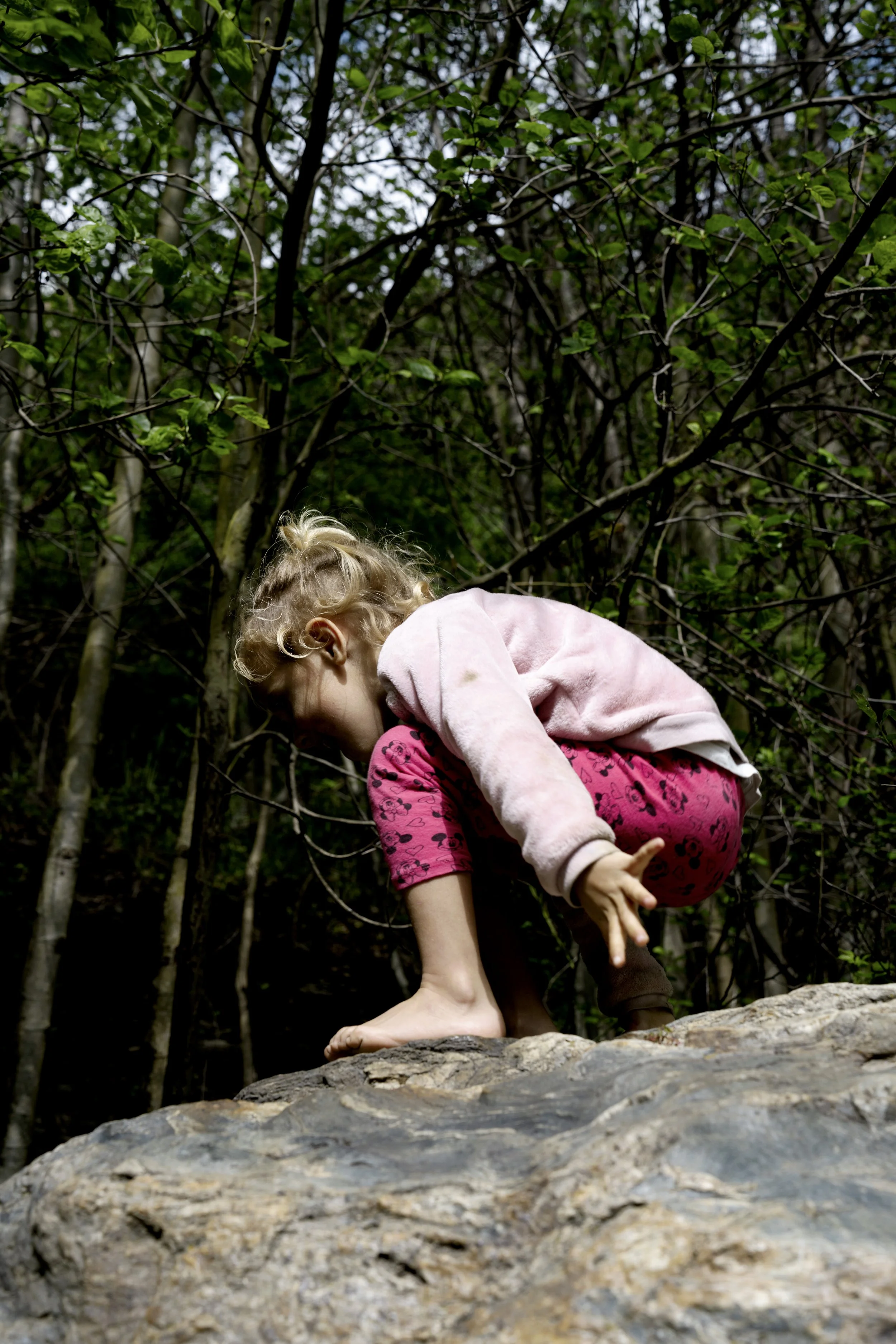 DSC_1668 másolat.jpg