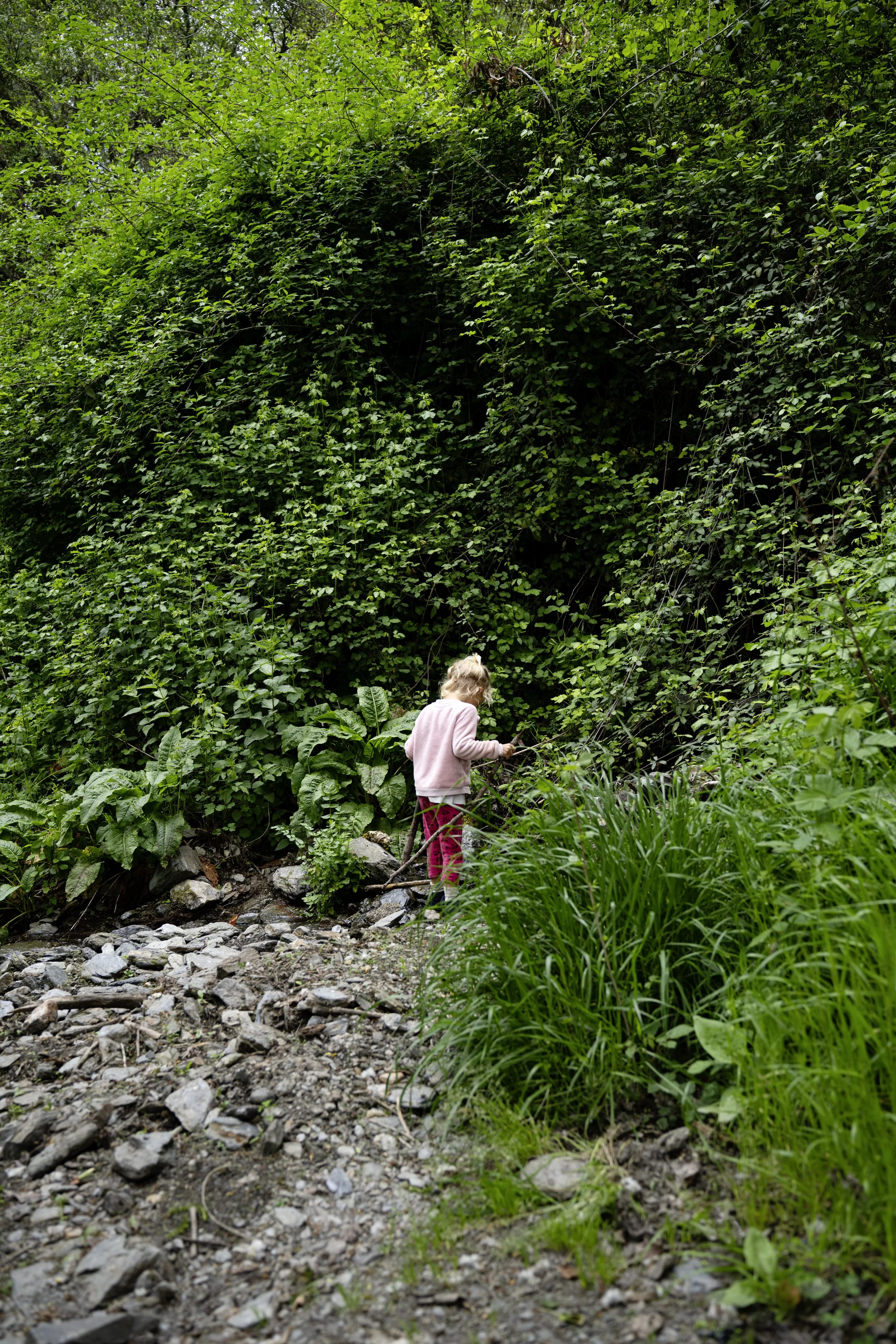 DSC_1677 másolat.jpg