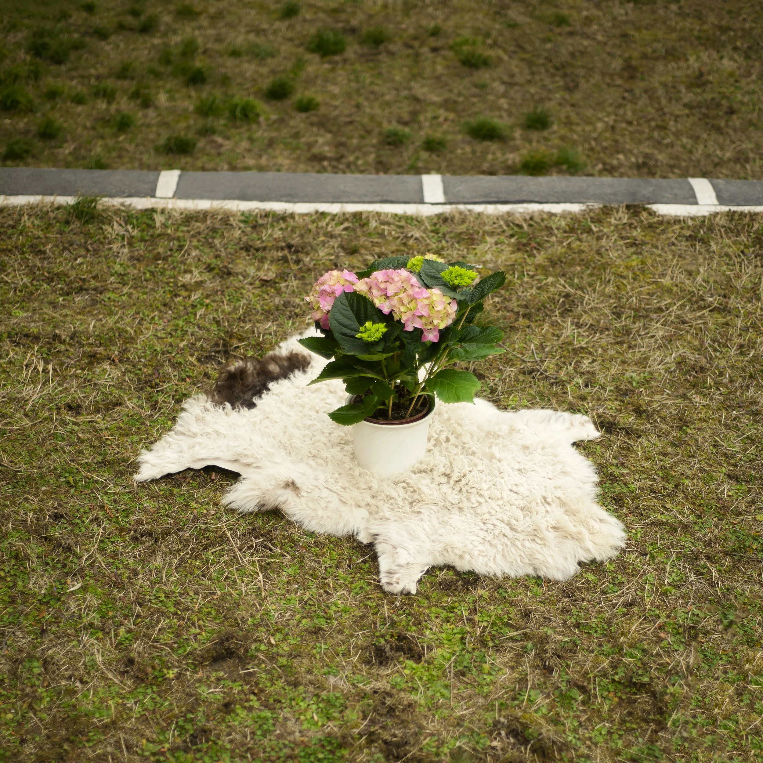 6.kKozeljovom_Forgach_40x40cm_fotópapir_1 másolat.jpg
