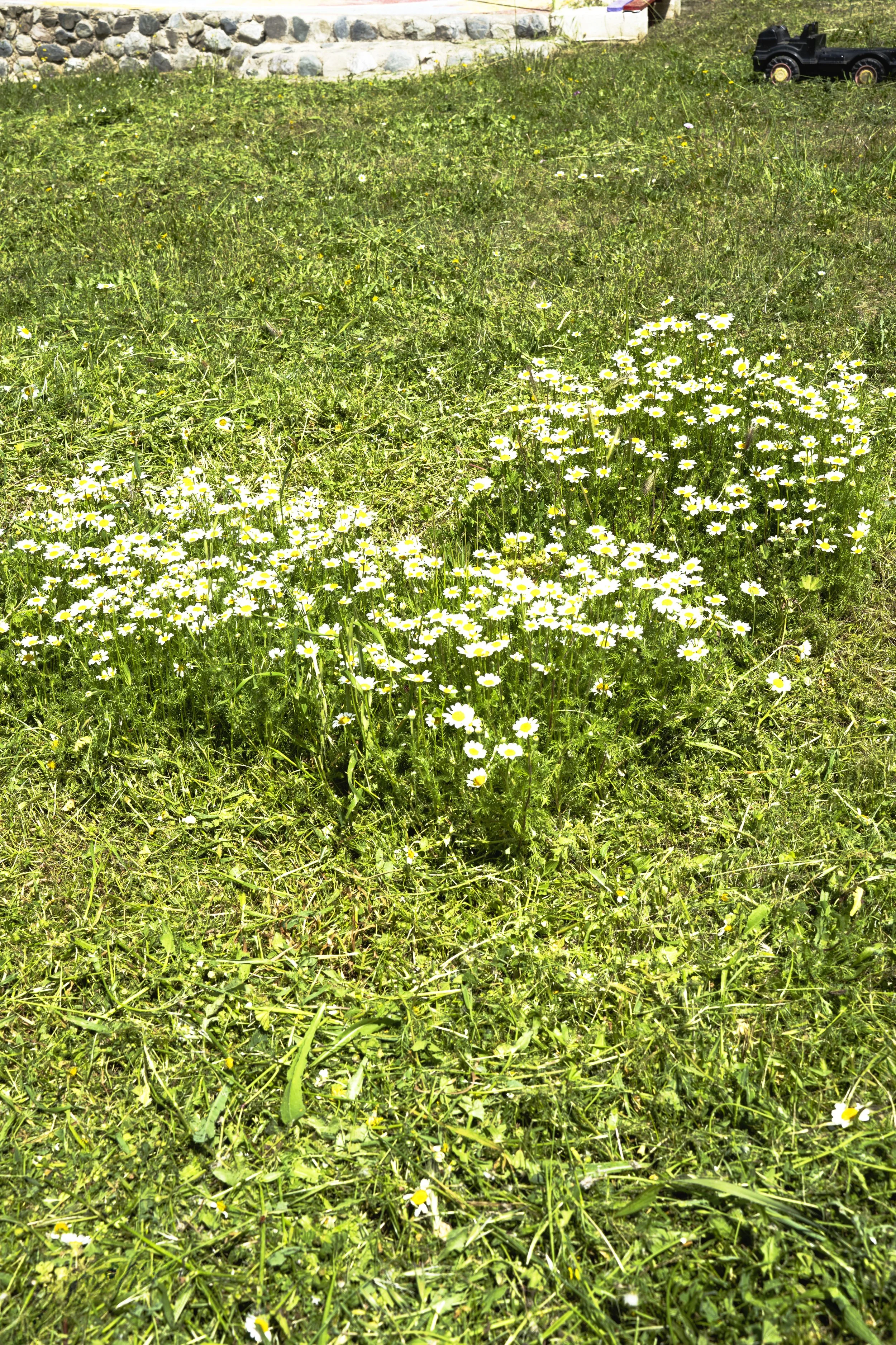 DSC_1480 másolat.jpg