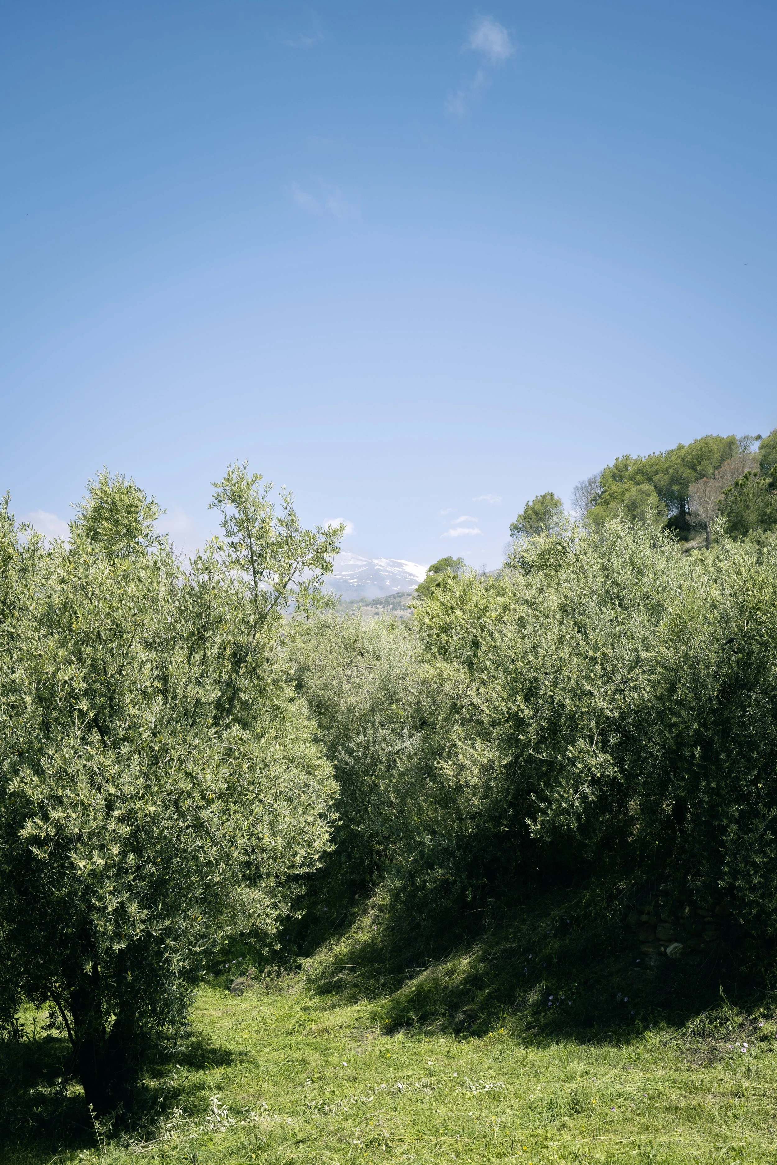 DSC_1478 másolat.jpg