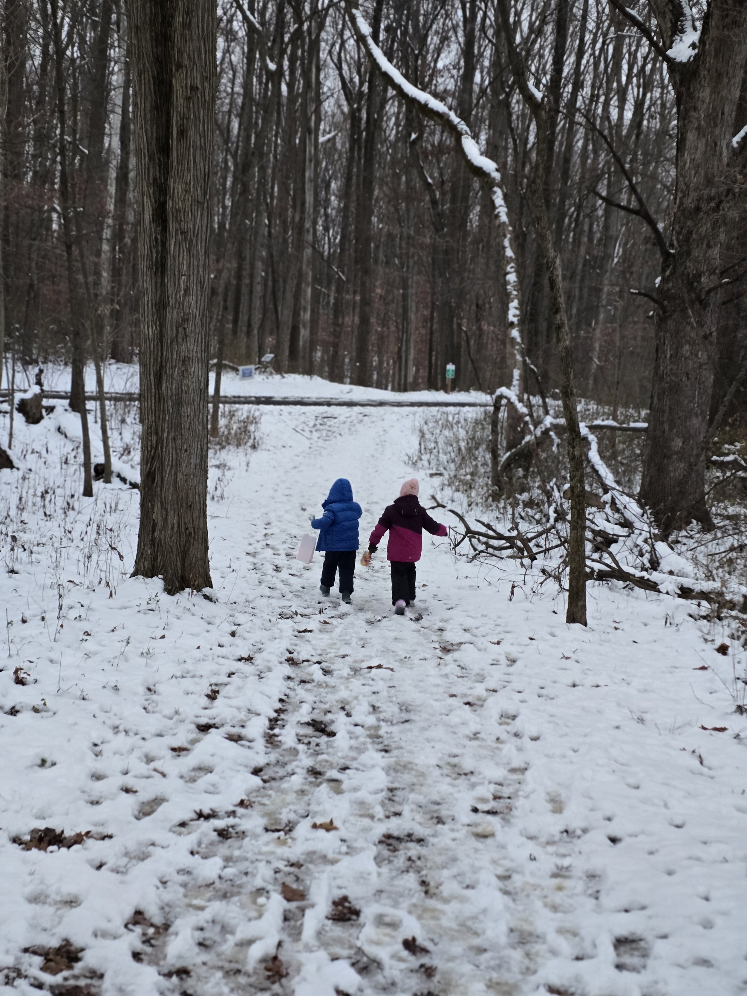 2 children running on a snowy trail in the forest.
