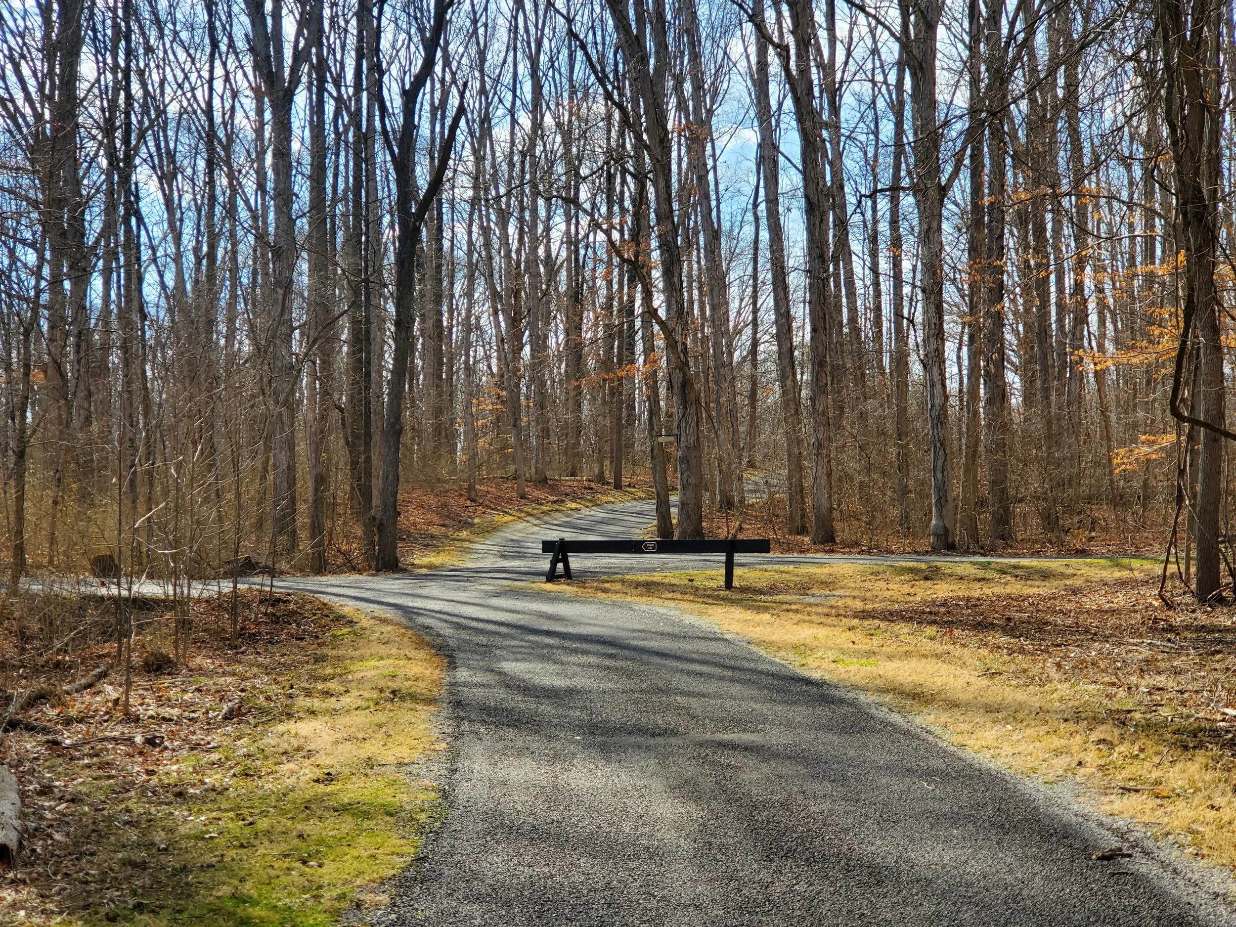 Early spring trail through the forest.