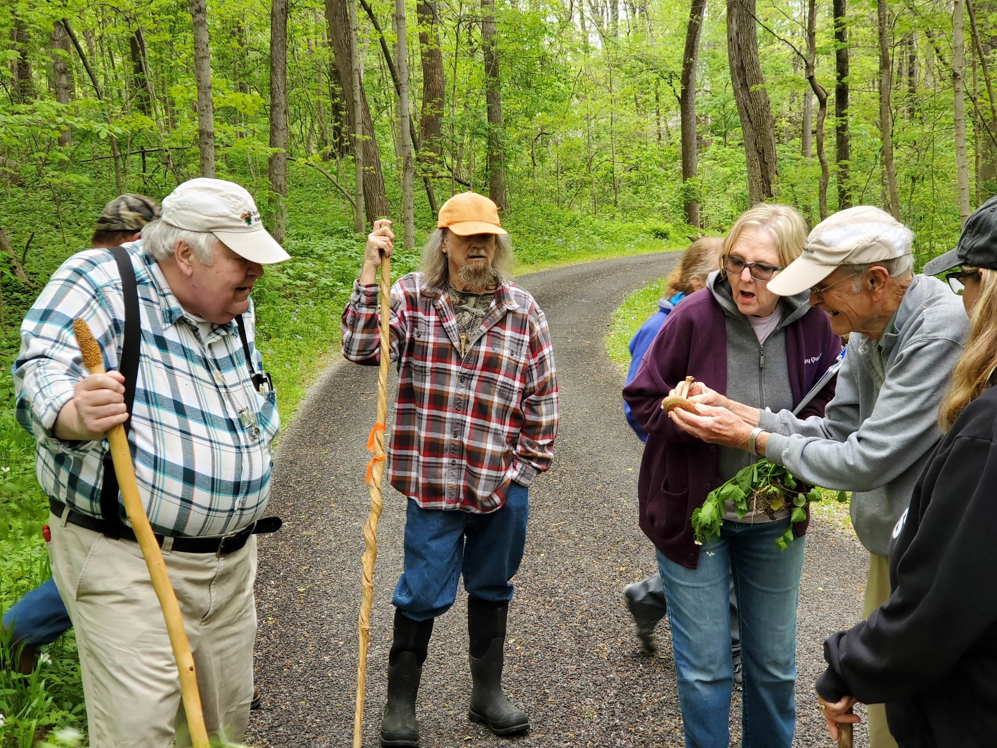 Group of people examining a mushroom in the forest.