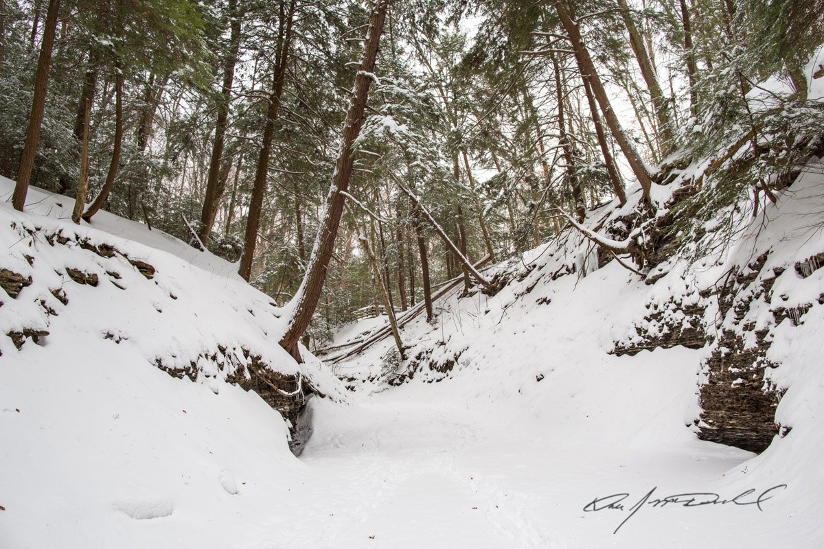 Winter Scenes at Tinkers Creek Metroparks