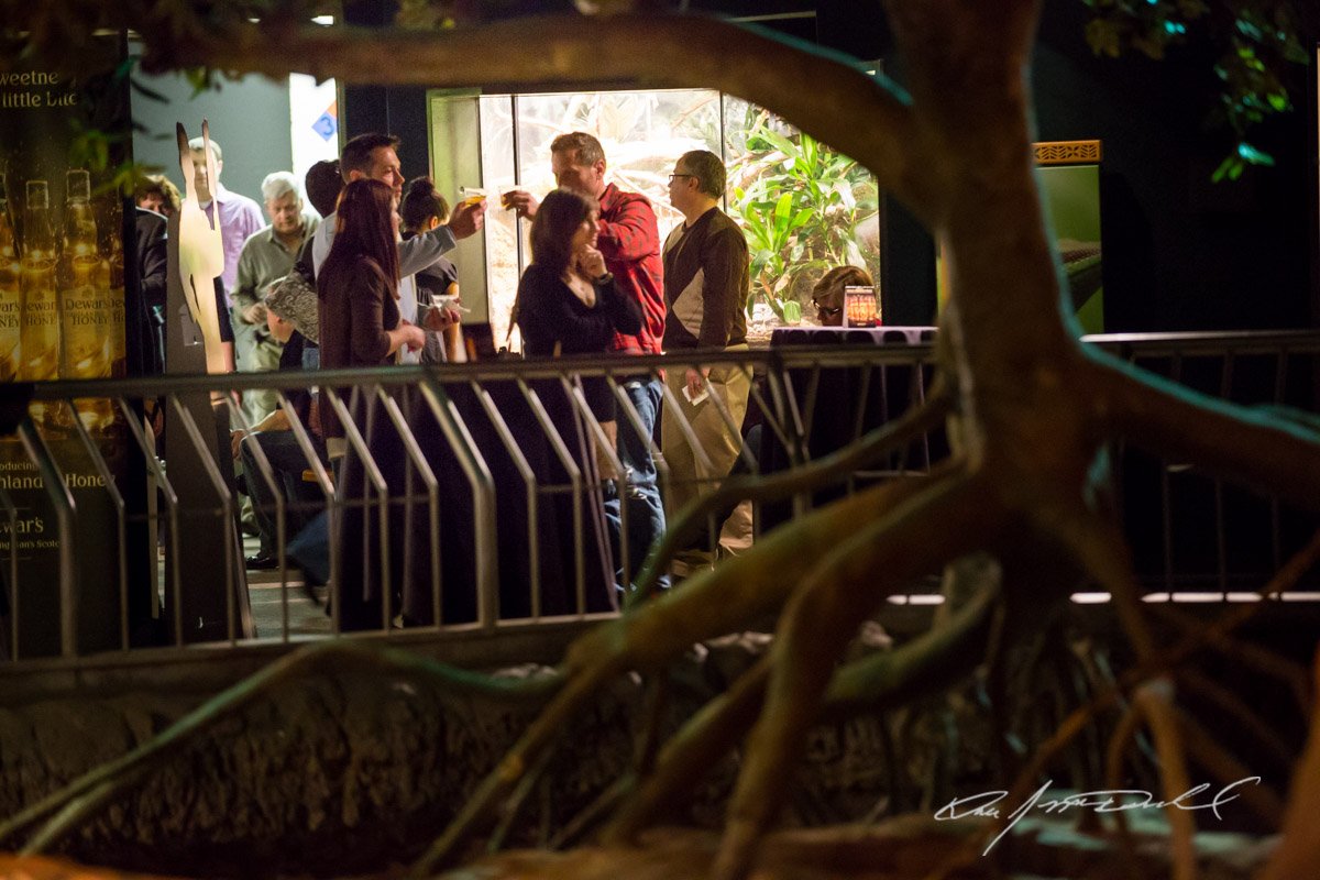 CSZ-Animal-Attractions-5D3A_9944.jpg