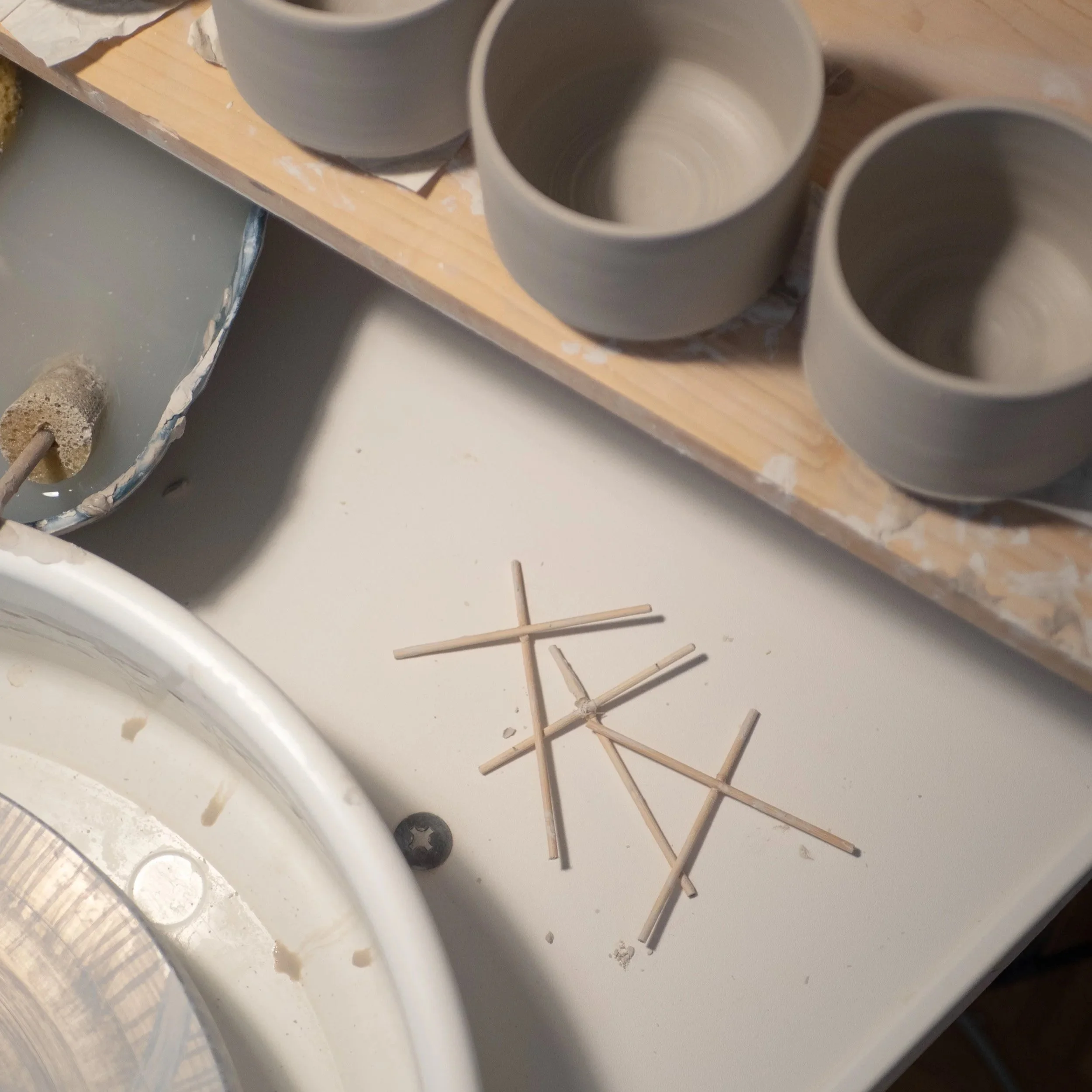 P1054609.jpg (Copy) (Copy) (Copy) (Copy) (Copy)