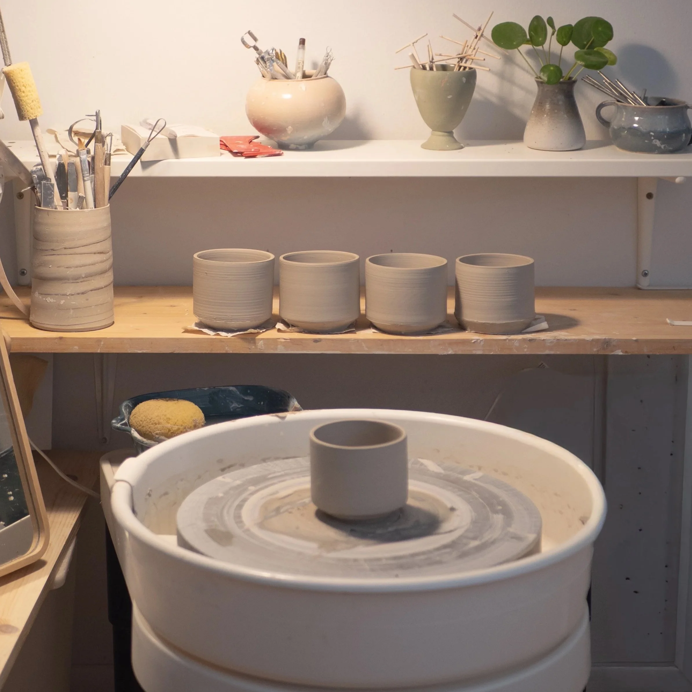 P1054606.jpg (Copy) (Copy) (Copy) (Copy) (Copy)