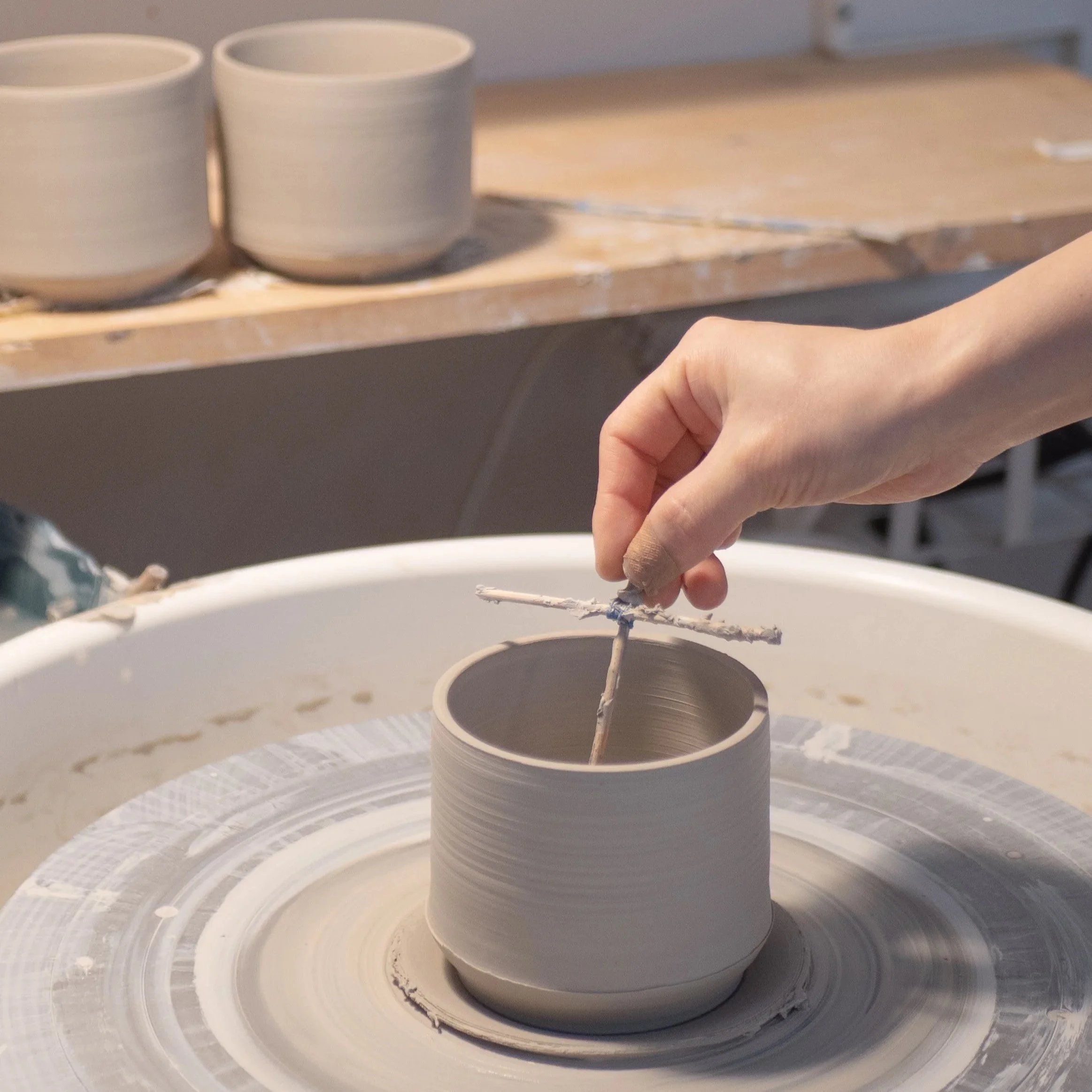 P1054570.jpg (Copy) (Copy) (Copy) (Copy) (Copy)