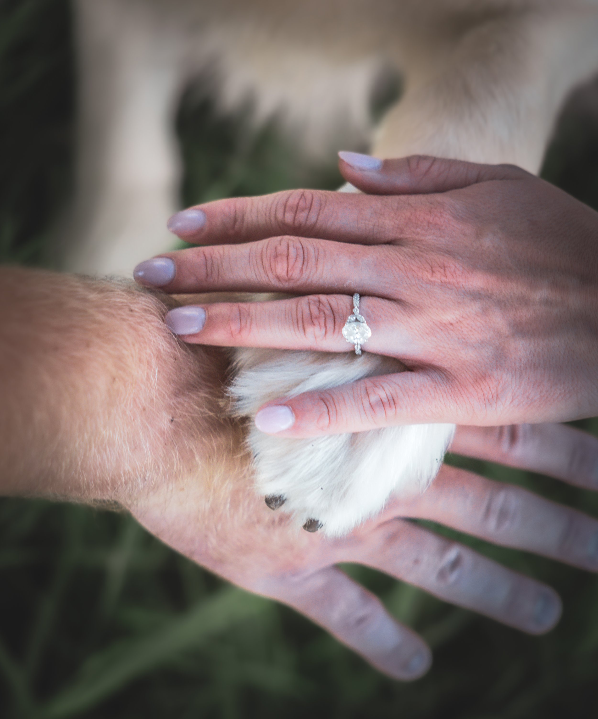 250708-Quincy and Brady-0230.jpg