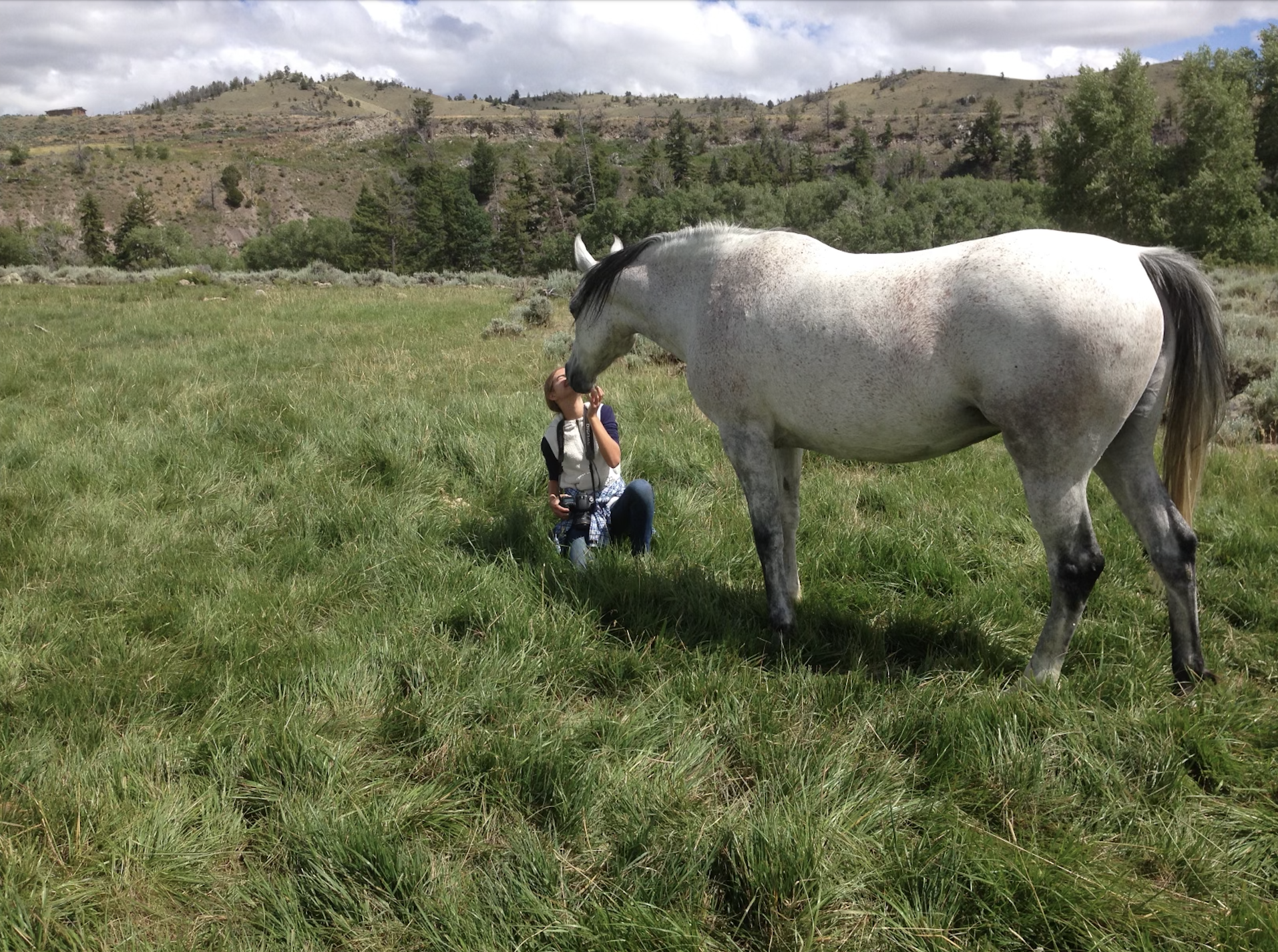 A woman kneeling on grass is kissing a large spotted gray and white horse on the nose in an open field with hills and trees in the background.