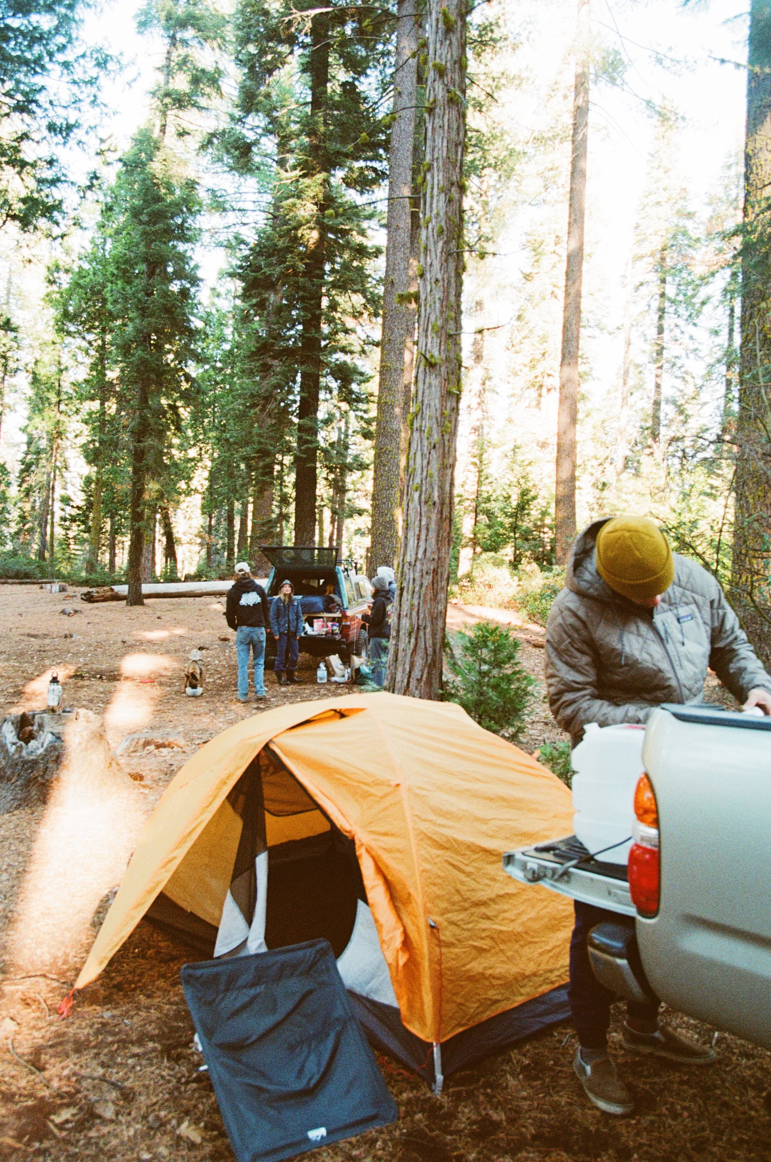 Camping in Yosemite