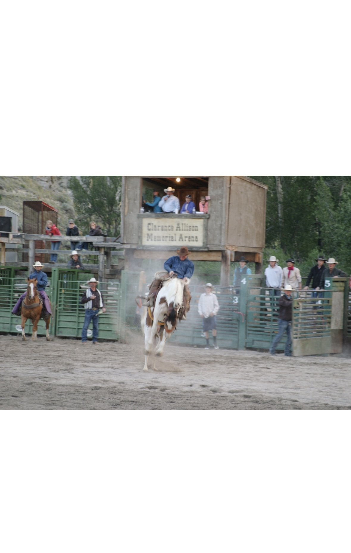 IMG_3020.jpg