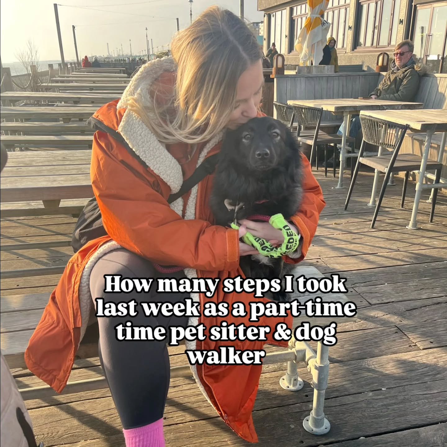 The answer is TOO MANY!!🫠

#dogslife #dogsitter #dogsofbrightonandhove #dogwalkersofinstagram #dogsitterlife #petsitterlife #brightonandhove