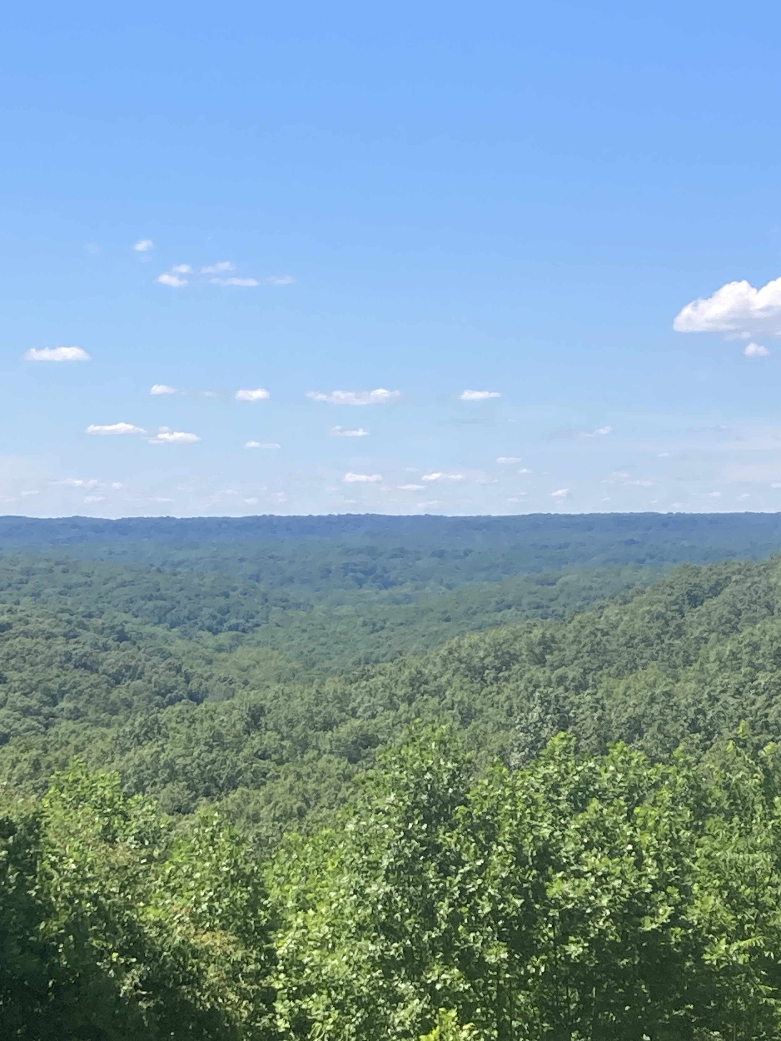 “Little Smokies”