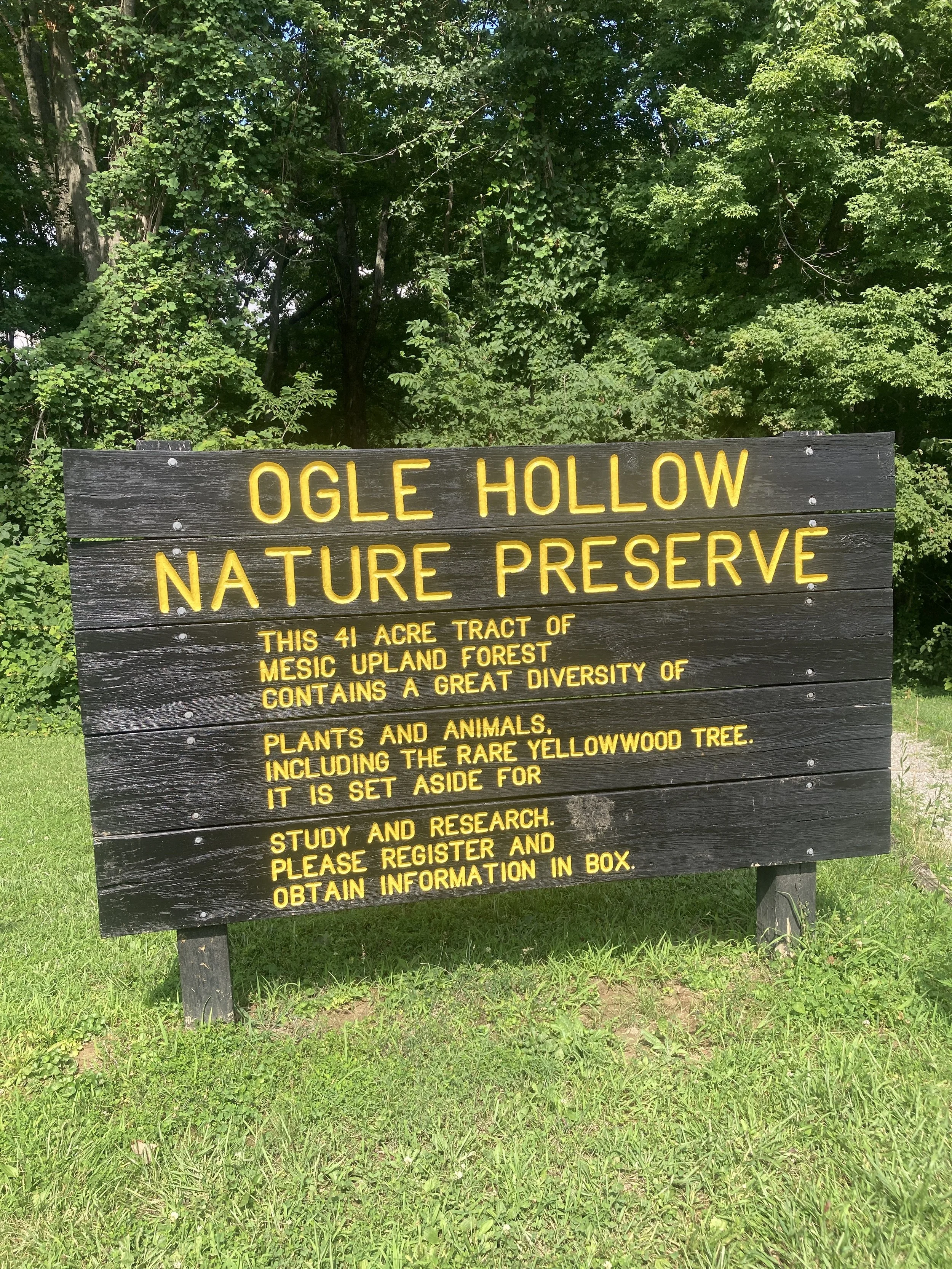 ogle hollow