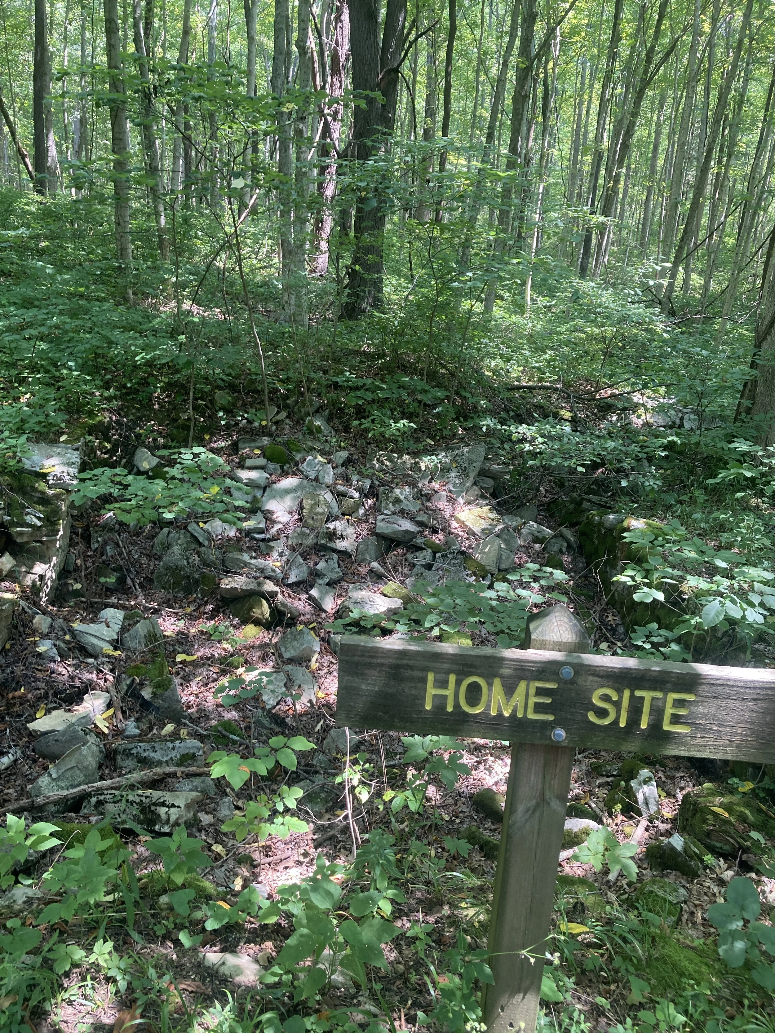 McCormicks Creek 4.JPG