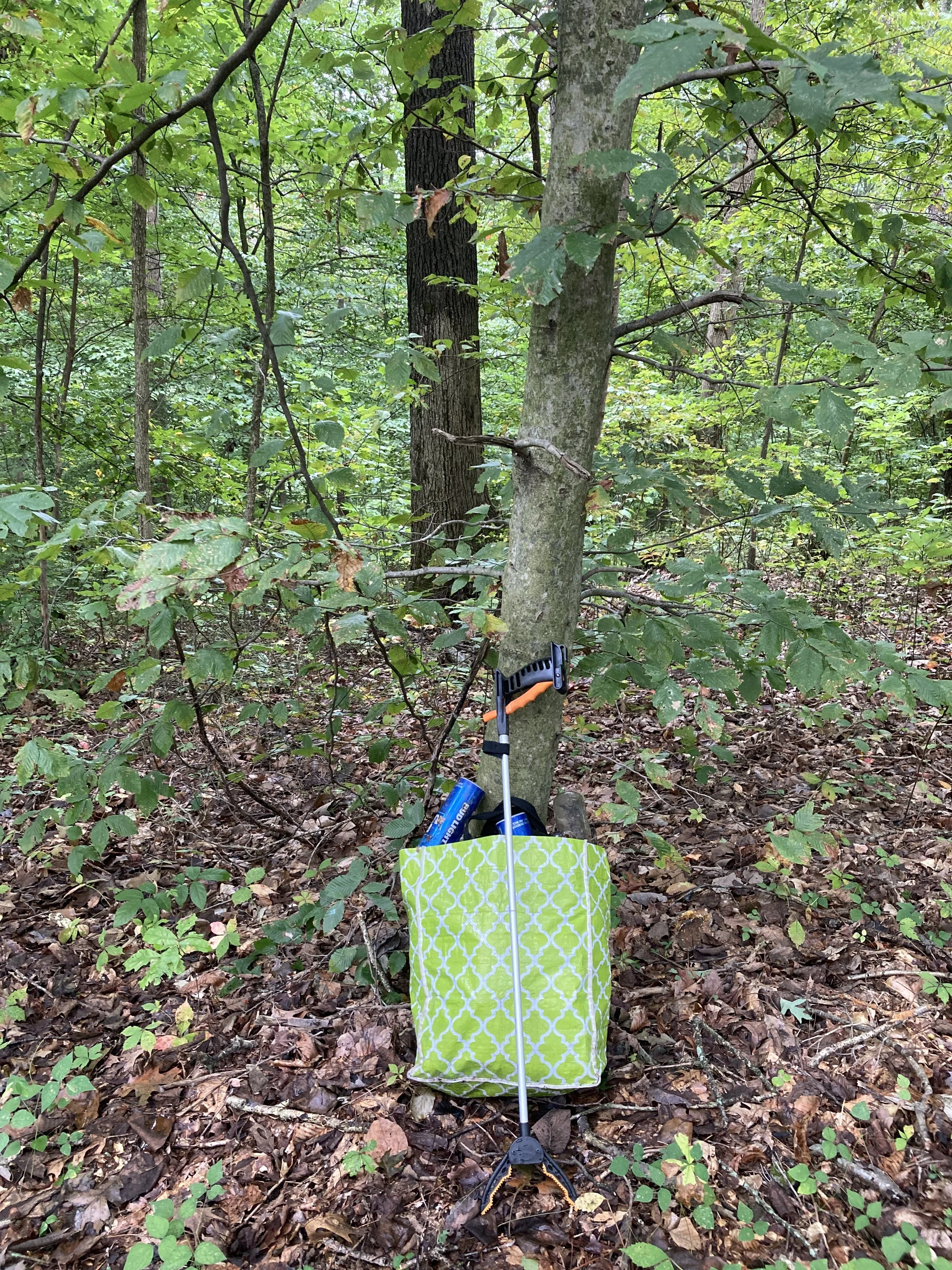 Autumn Pledge 2026 Morgan Monroe State Forest 3.JPG