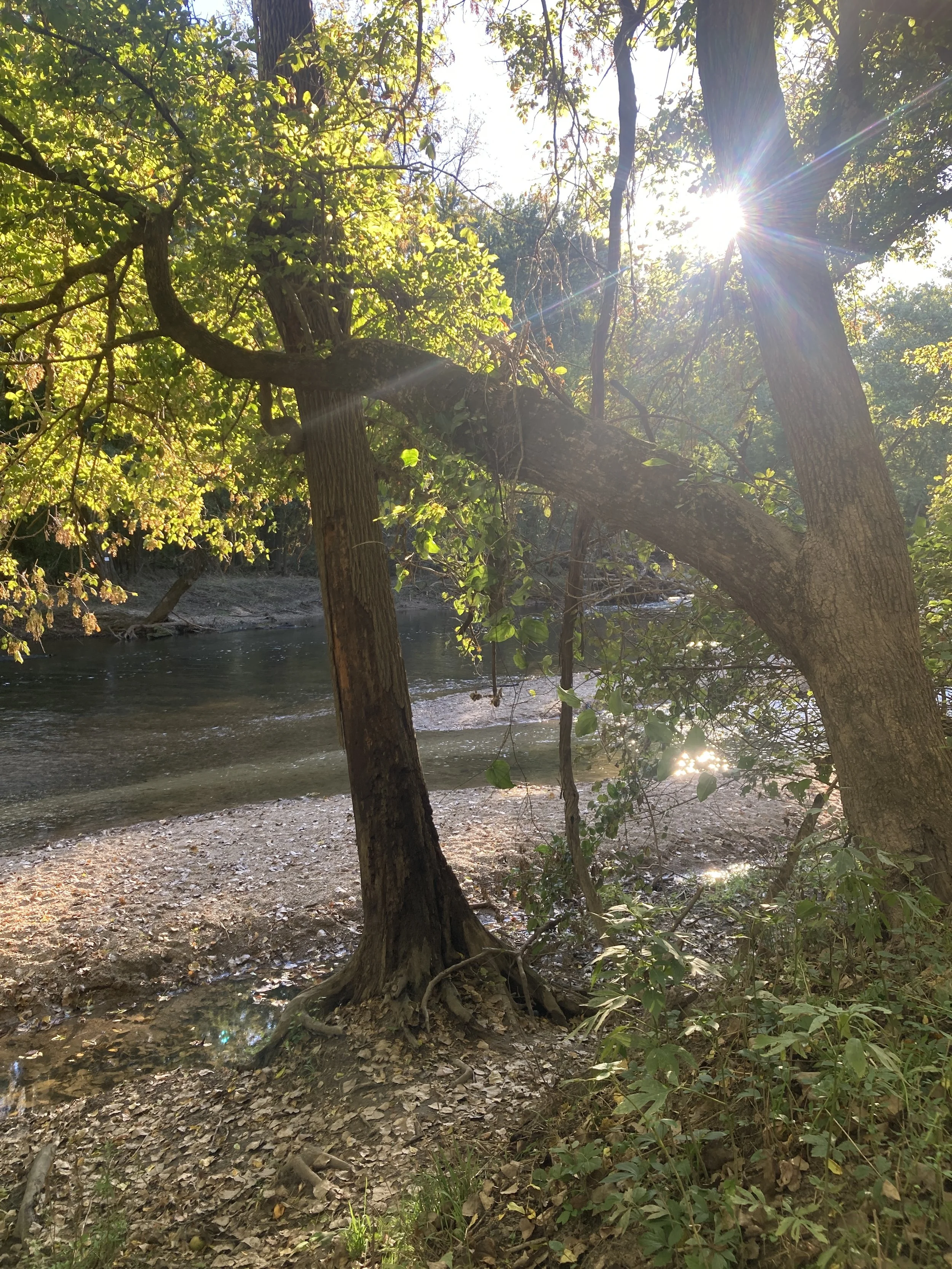 Mounds State Park 1.JPG