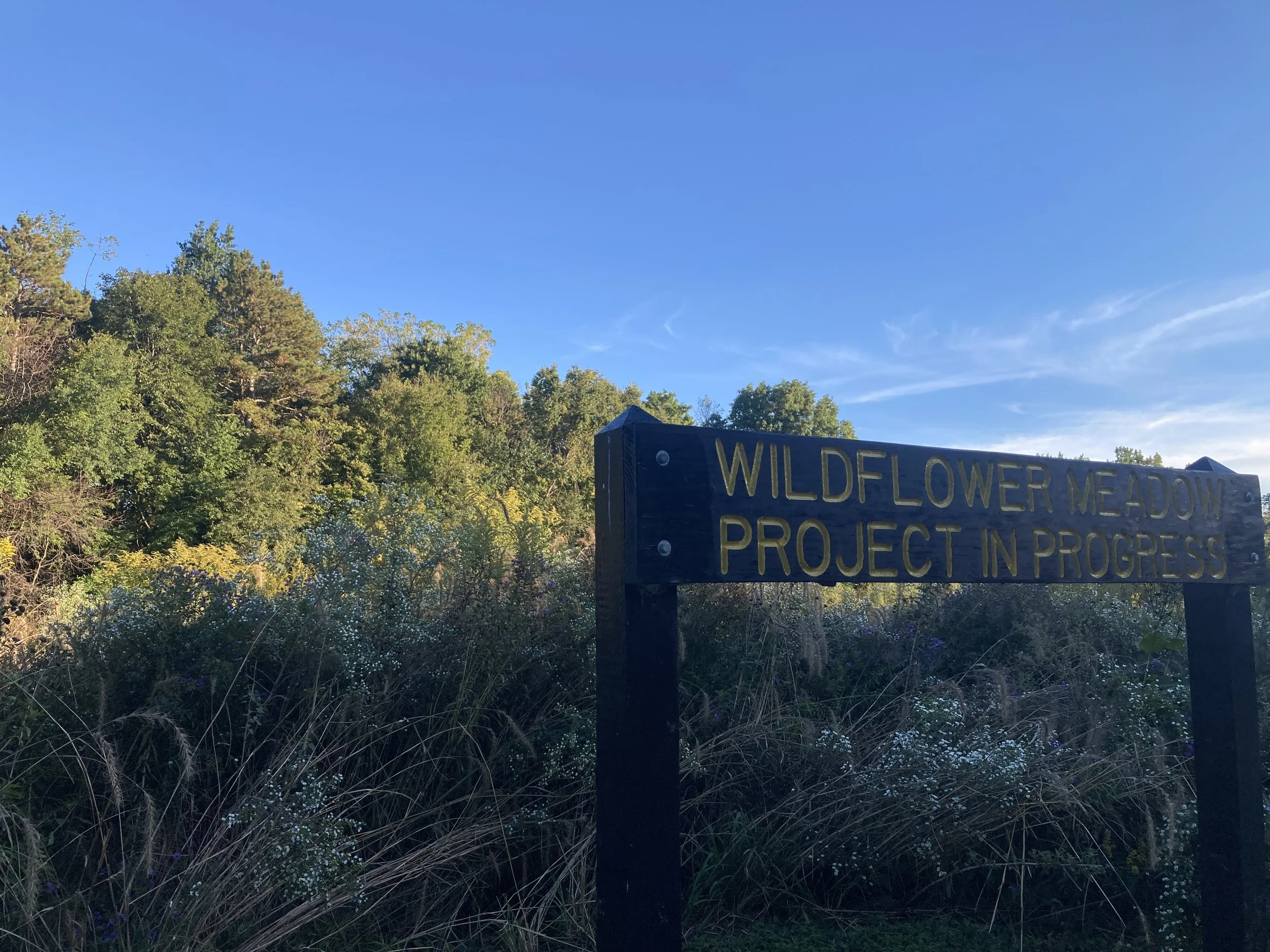 Mounds State Park 5.JPG