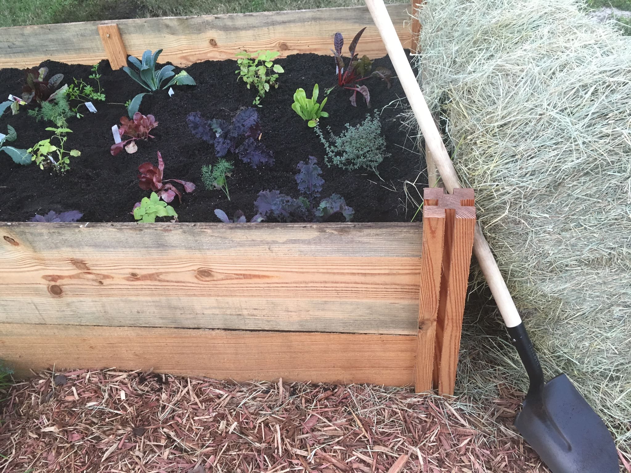 Hay and Seedlings.jpg