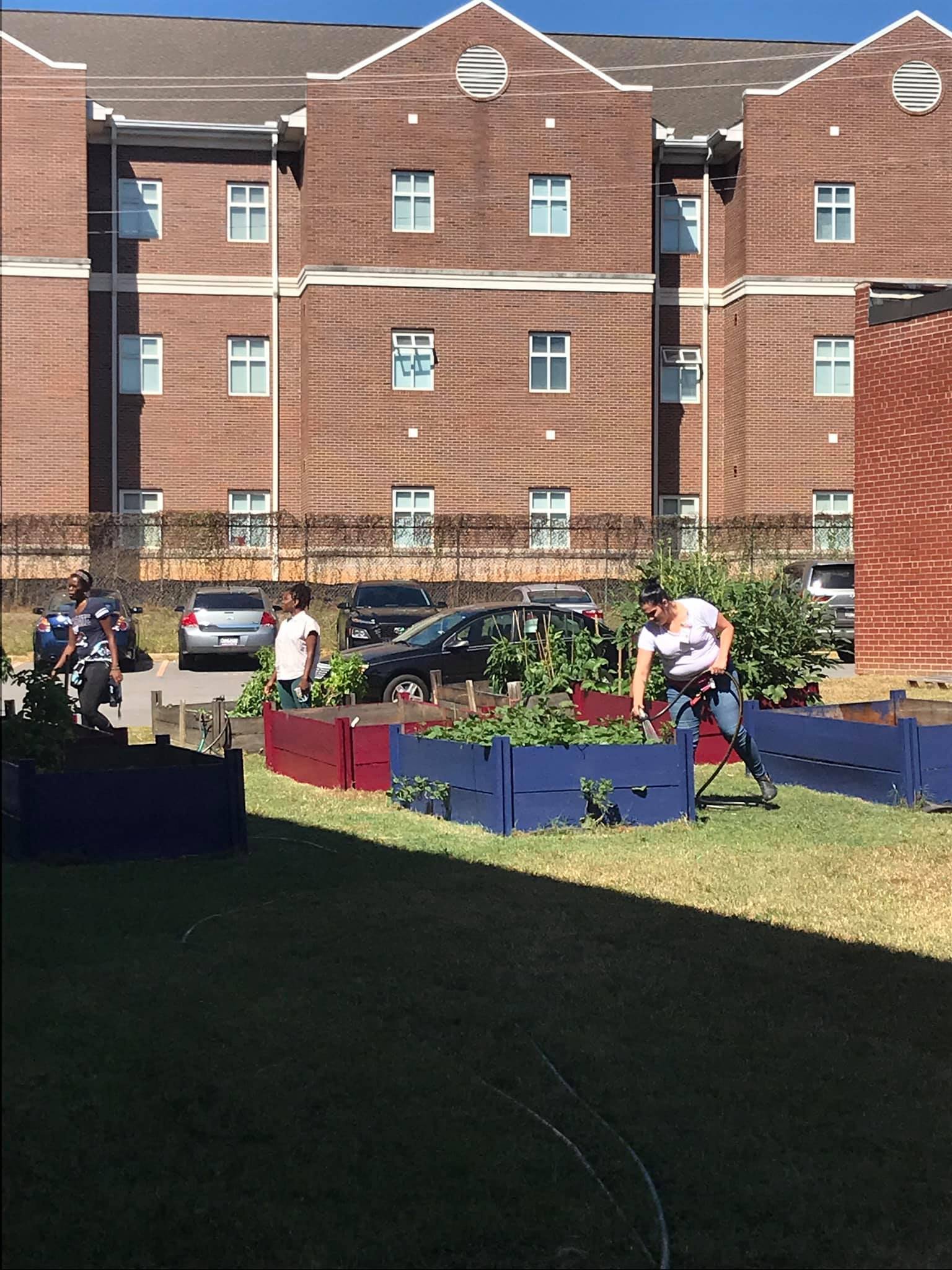 SCSU Garden 1.jpg