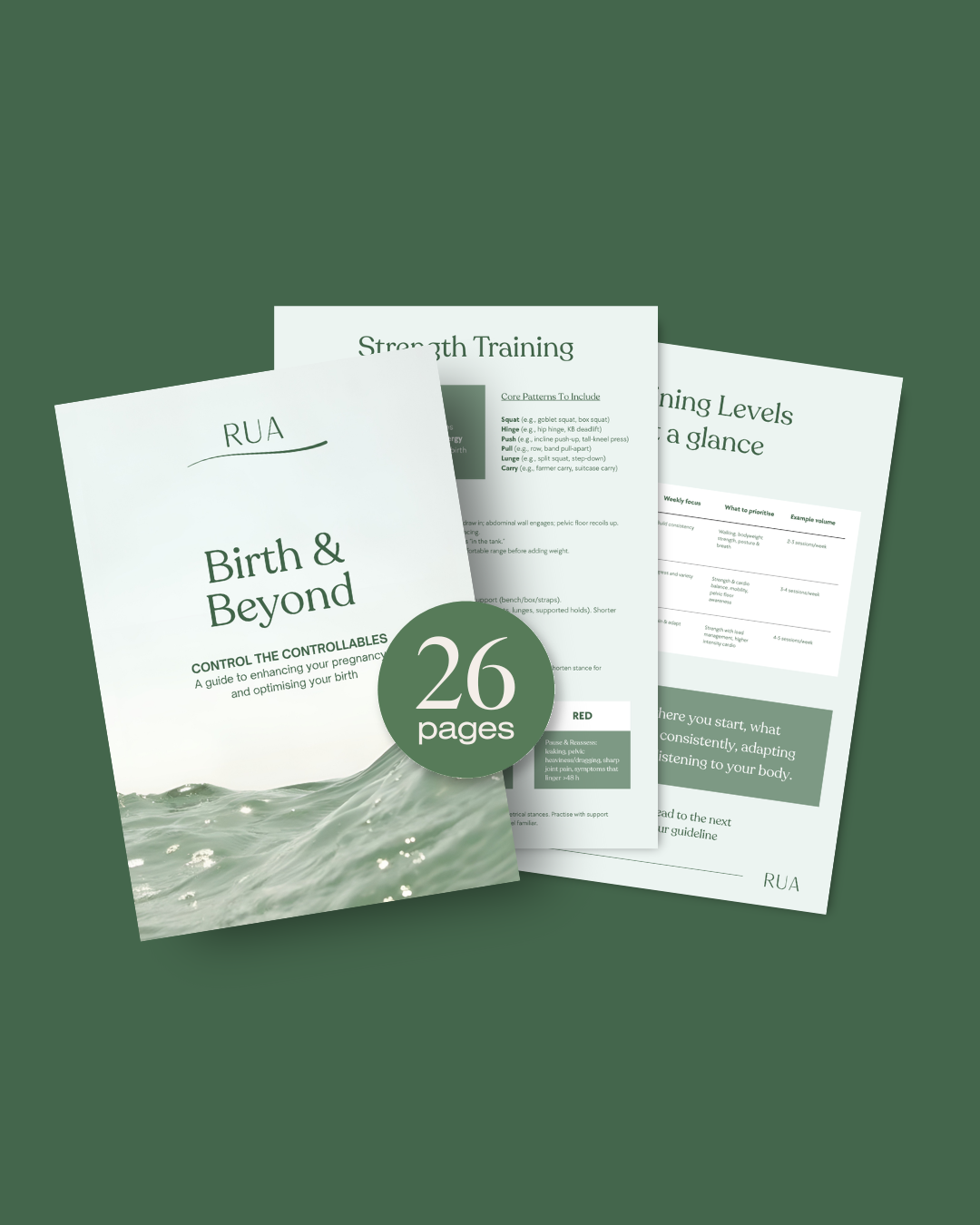 Birth & Beyond: Pregnancy & Pelvic Health Exercise Guide