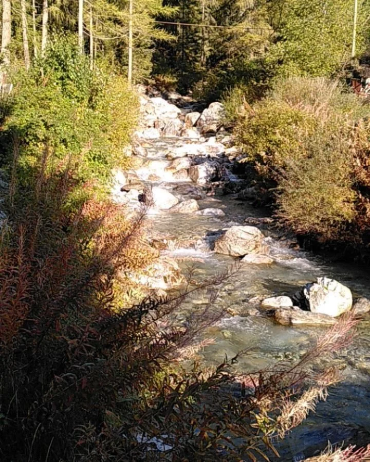 Feuer und Wasser 🤍🤍🤍
#woodfiring #ceramics #herbst24
