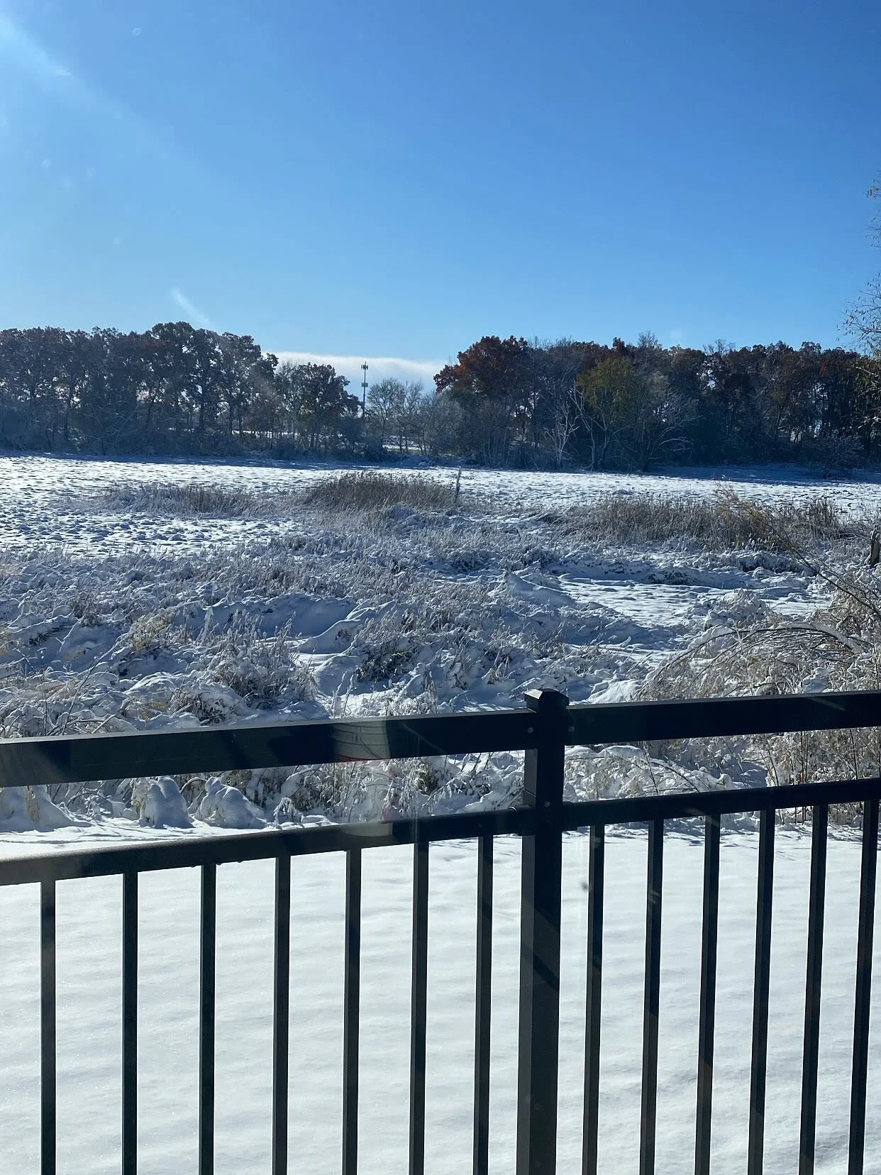 Saying goodbye to November and the last bit of fall, December is here and holiday prep is in full swing at Bouquet of Granger! 🤍✨🎄

#novemberrecap #holidayseason #grangerflowers #bouquetofgranger #grangerflorist #flowershop #smallbusiness
