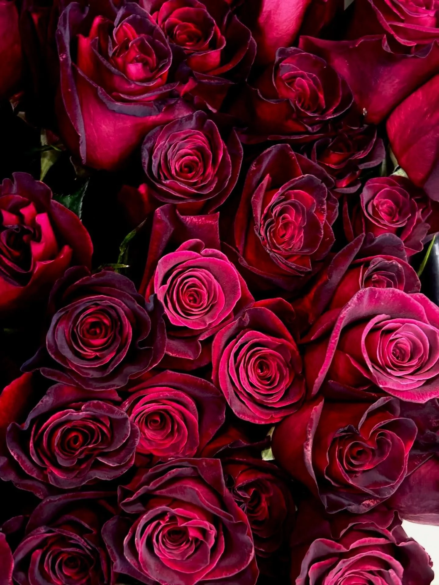 February was an AMAZING month here at Bouquet of Granger! 💕✨

Valentine&rsquo;s Day came and went (and kept us busy!) - from Galentine&rsquo;s and Valentine&rsquo;s workshops, to all of the lovely arrangements we sent out the door, we loved seeing s