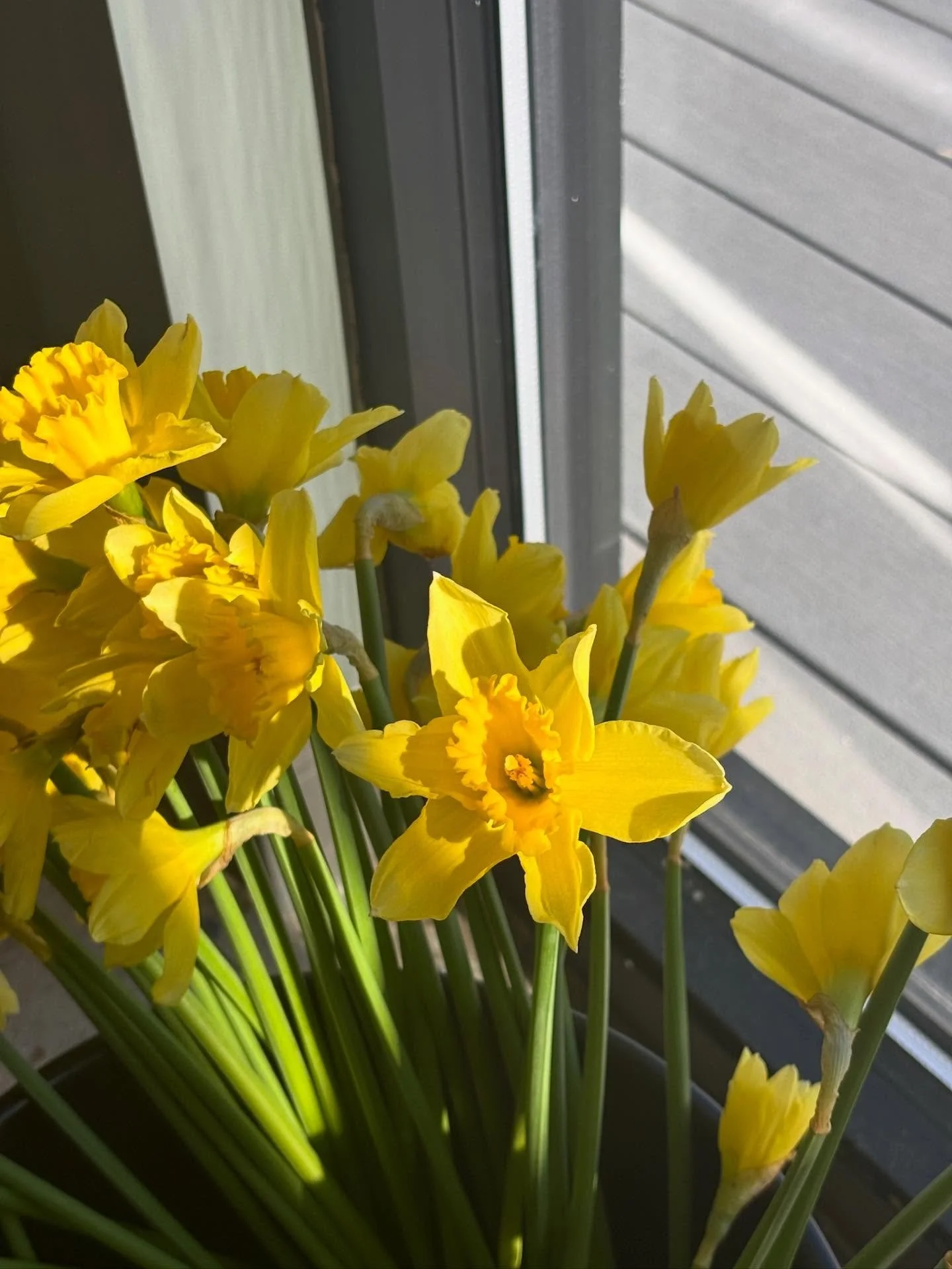 Thanks to March, spring is in full swing here at Bouquet of Granger! We&rsquo;re feeling refreshed and full of life after a month of beautiful spring flowers, creative workshops, and sending so many stunning arrangements out the door. 🌷

Now, as we 