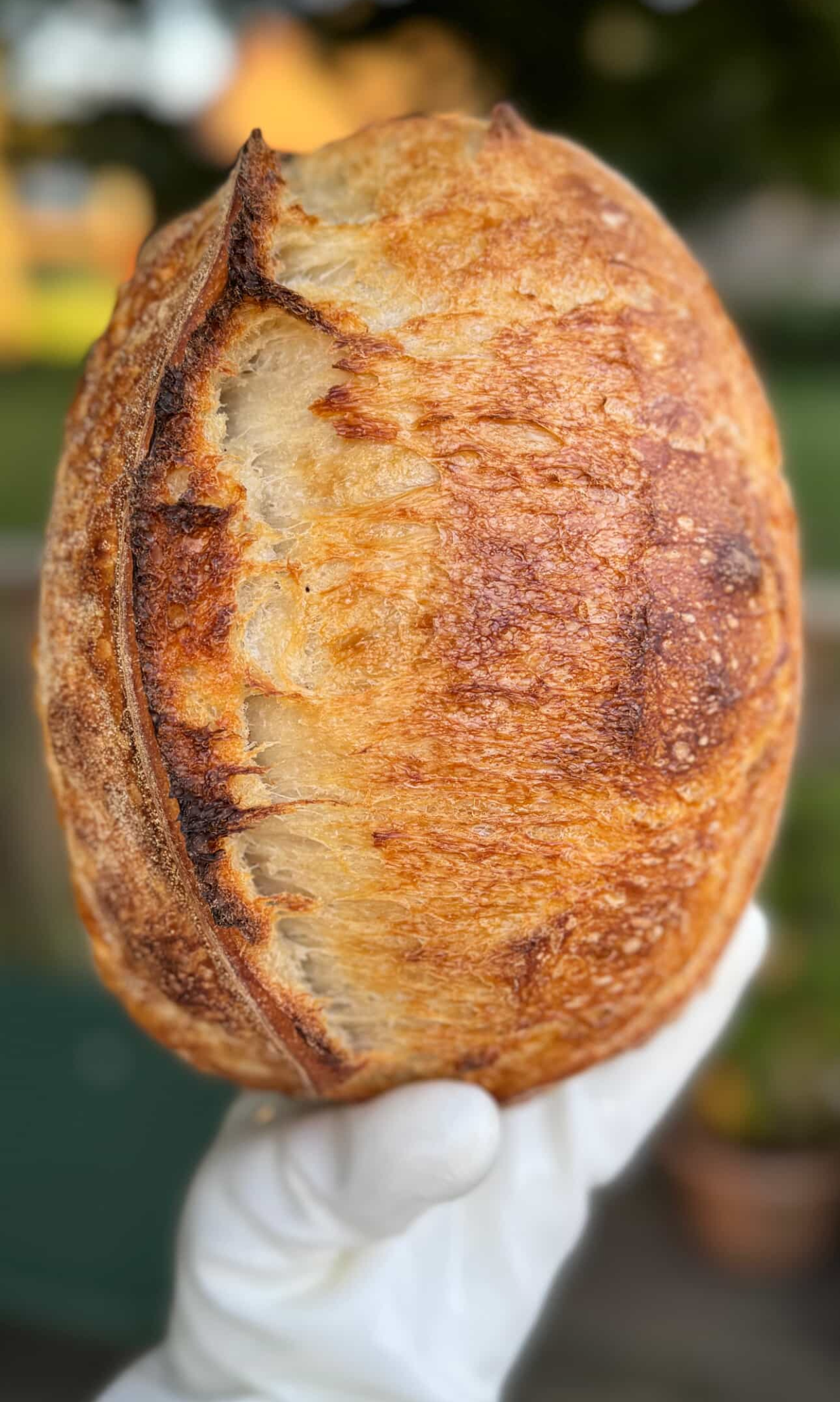 The Crust + Crumb Bakery Popup 