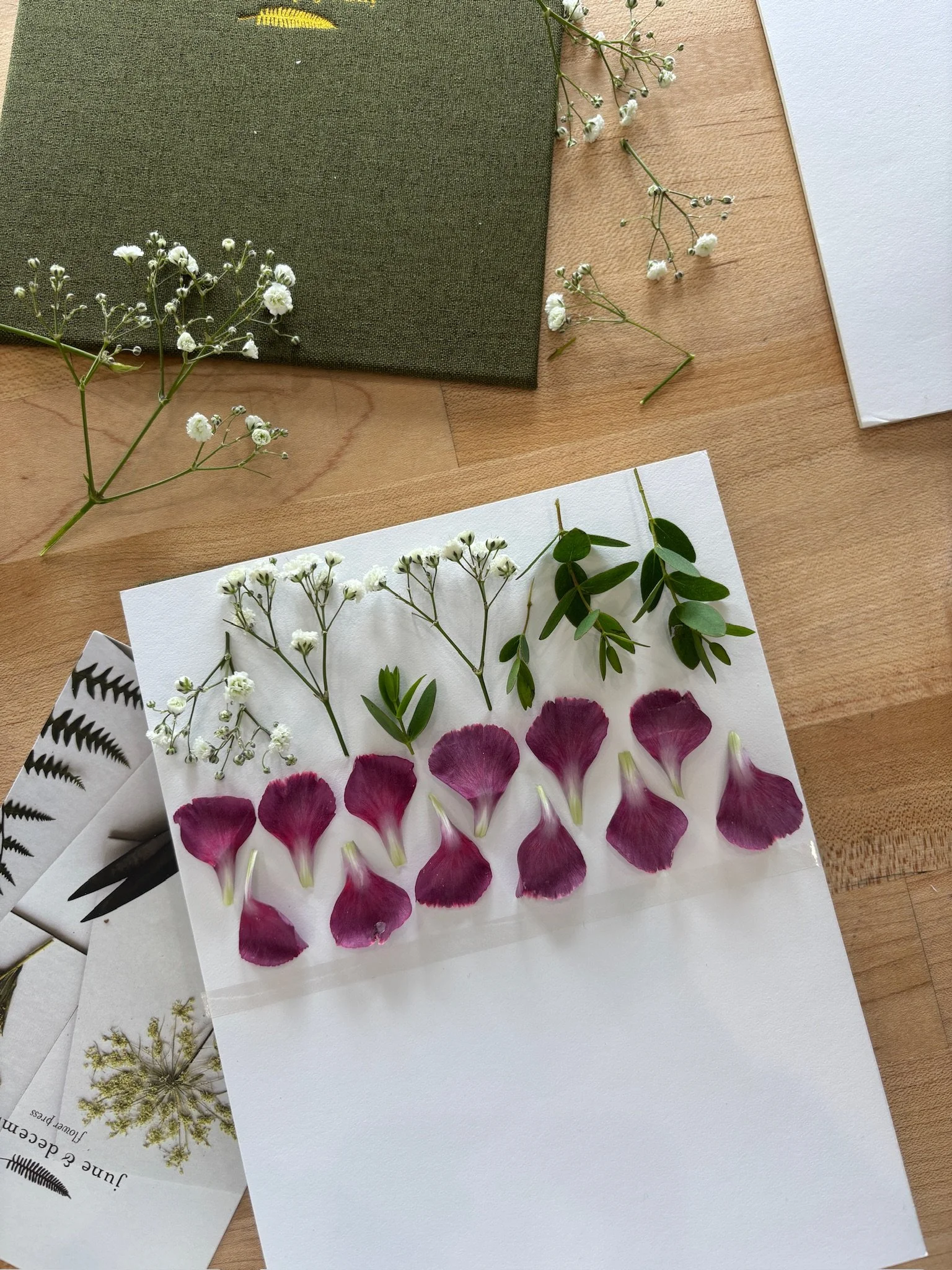 Designing with Pressed Flowers with Karinne - August 26th