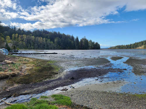 Mud Bay & Woodstock from Fairhaven Park - Level 4