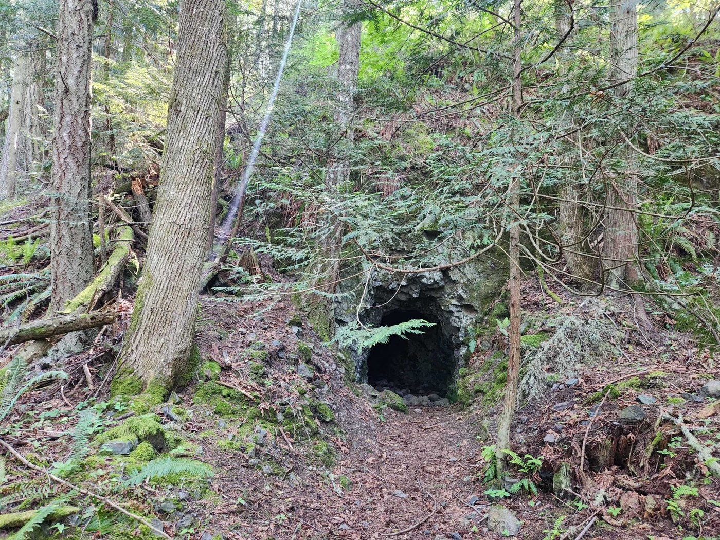 John Tursi Trail - Level 3