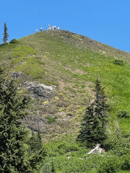 Excelsior Pass/Peak via Damfino - Level 2