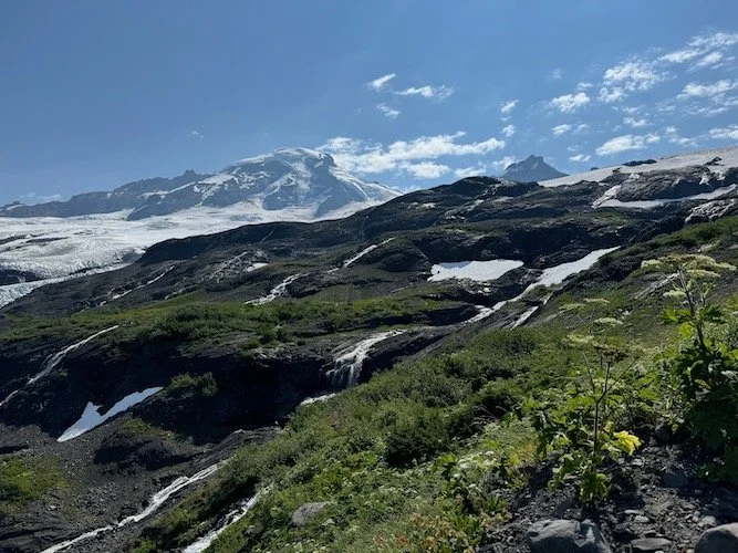 Heliotrope Ridge - Level 1 **12 hiker limit**