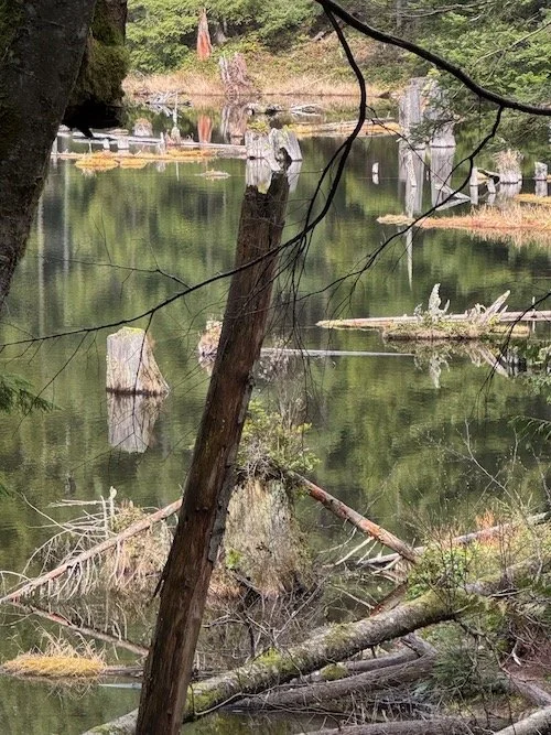 Lily & Lizard Lake /North Butte - Level 1