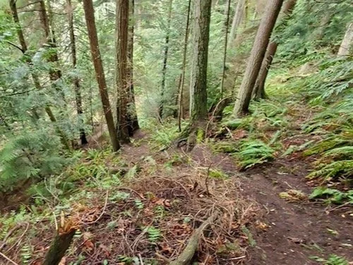 Fiona Loop from Lost Lake Trailhead - Level 1